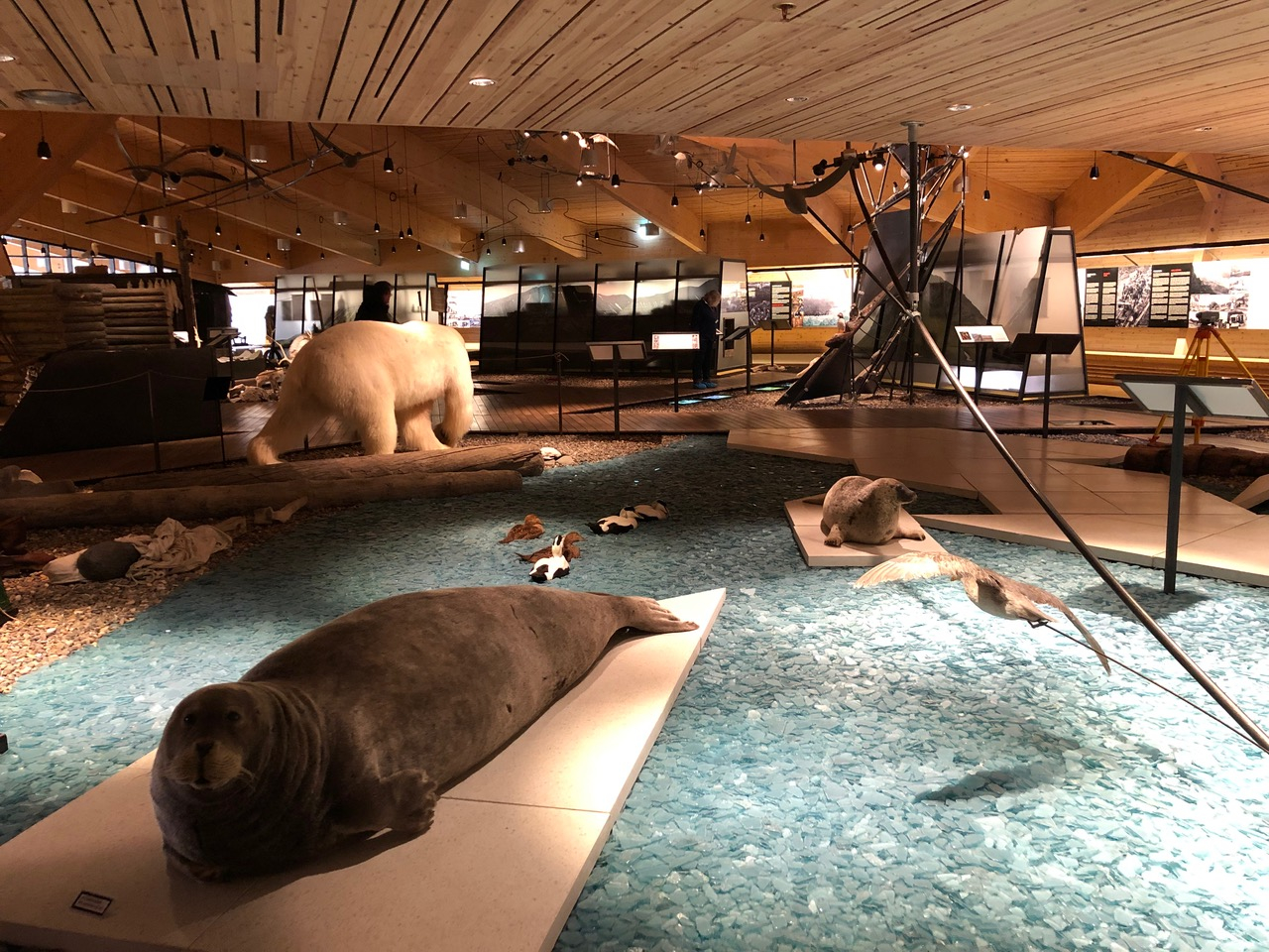 The Svalbard Museum in Longyearbyen.