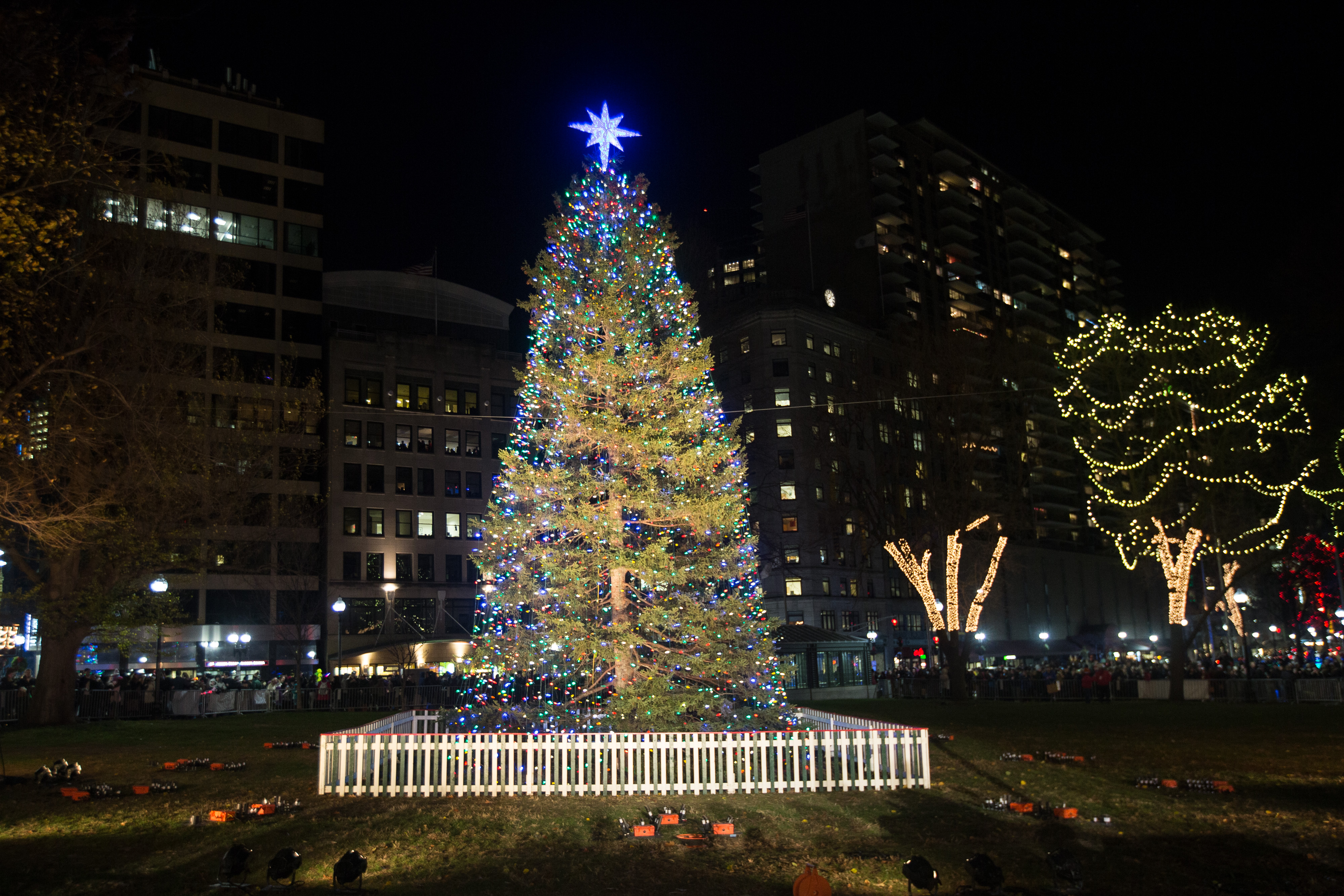 Boston Common.