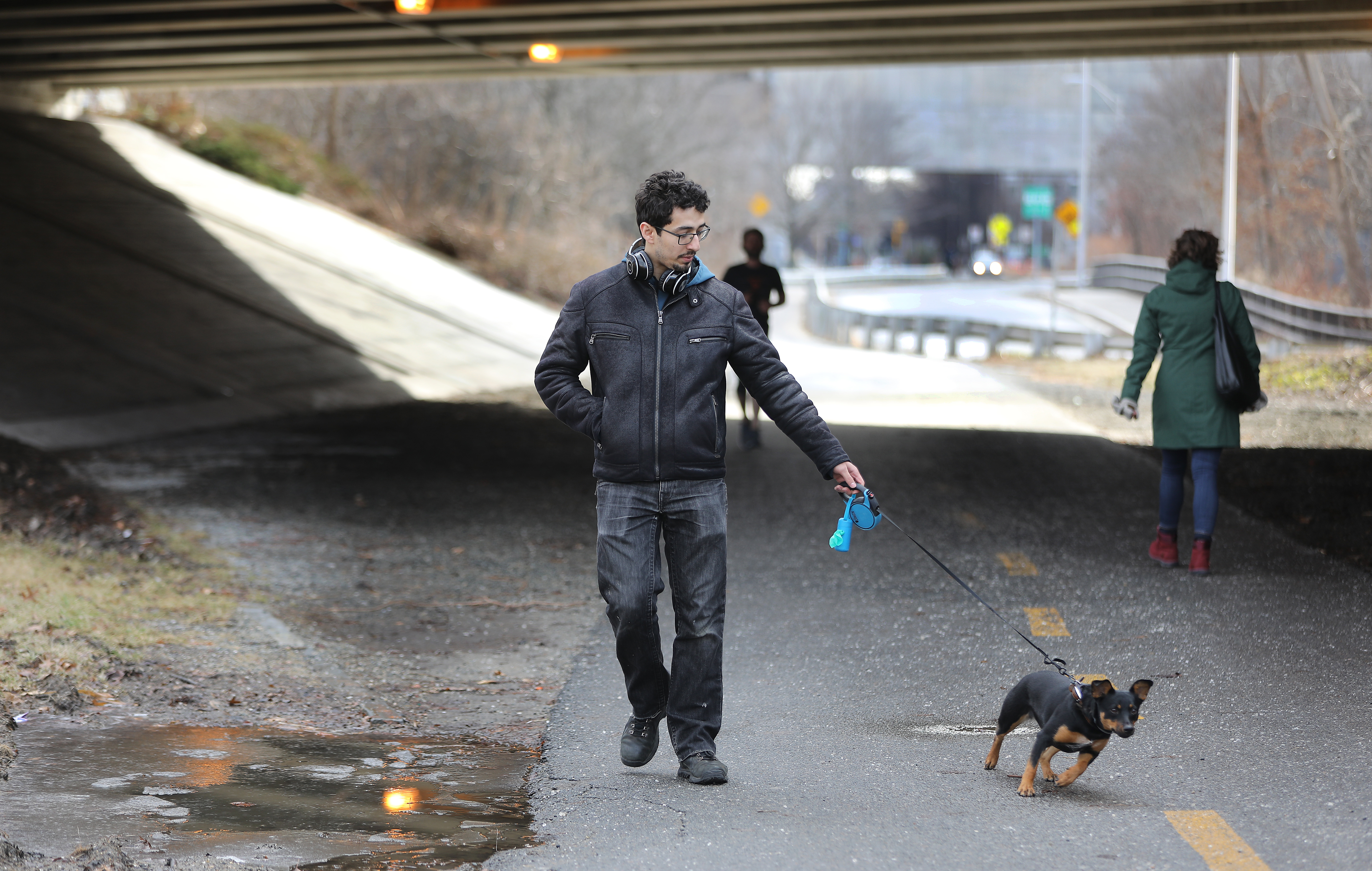 A man walked his dog under the bridge on Sunday.