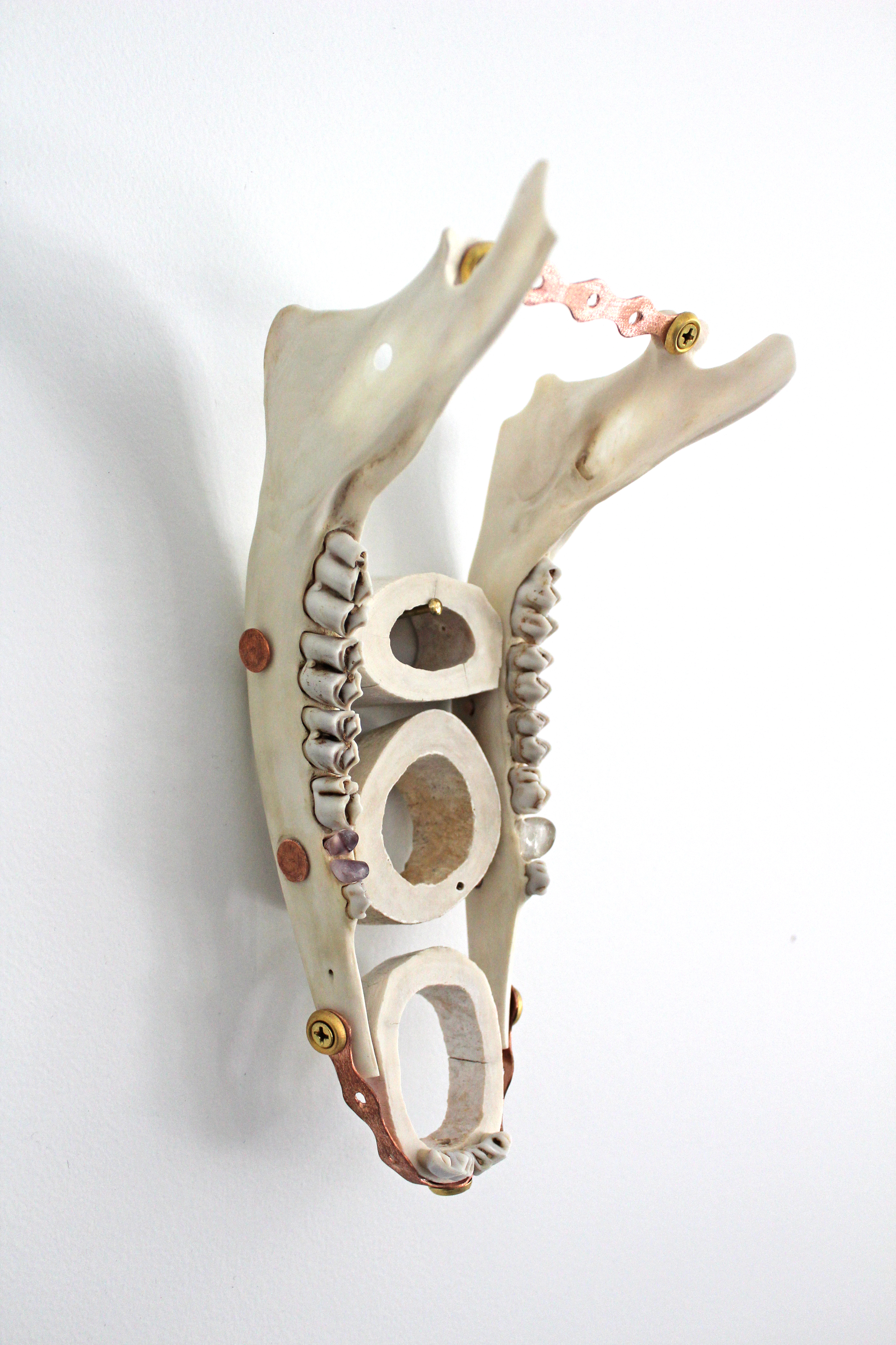 Opie uses metal hardware to fasten her bone sculptures.