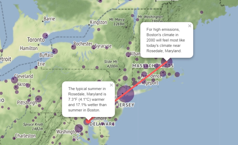The weather will be going south: a screenshot of the website