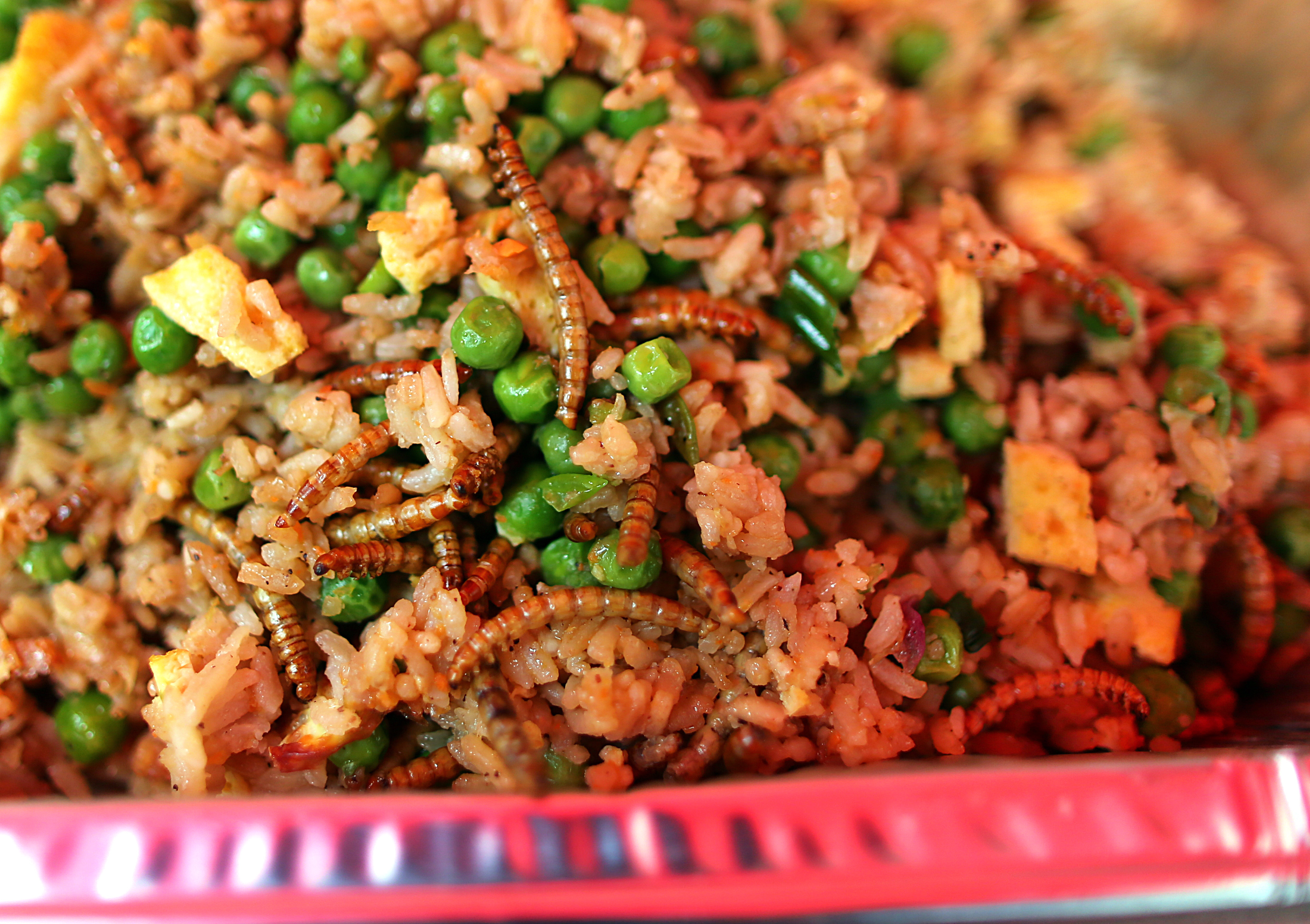 A closer look at the mealworm fried rice.