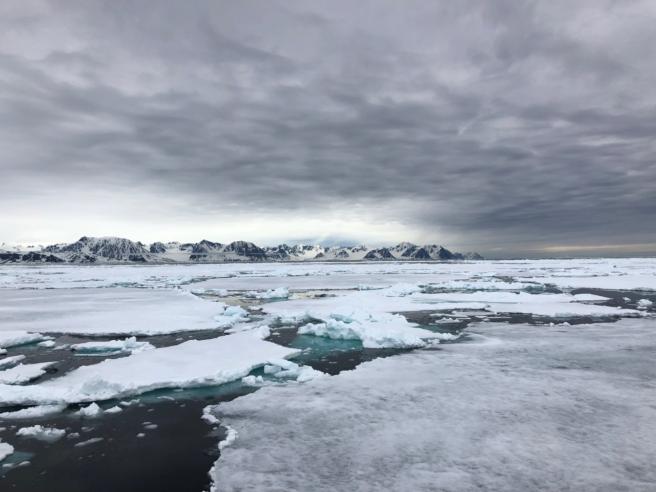 Stuck in the pack ice west of Danskoya island.