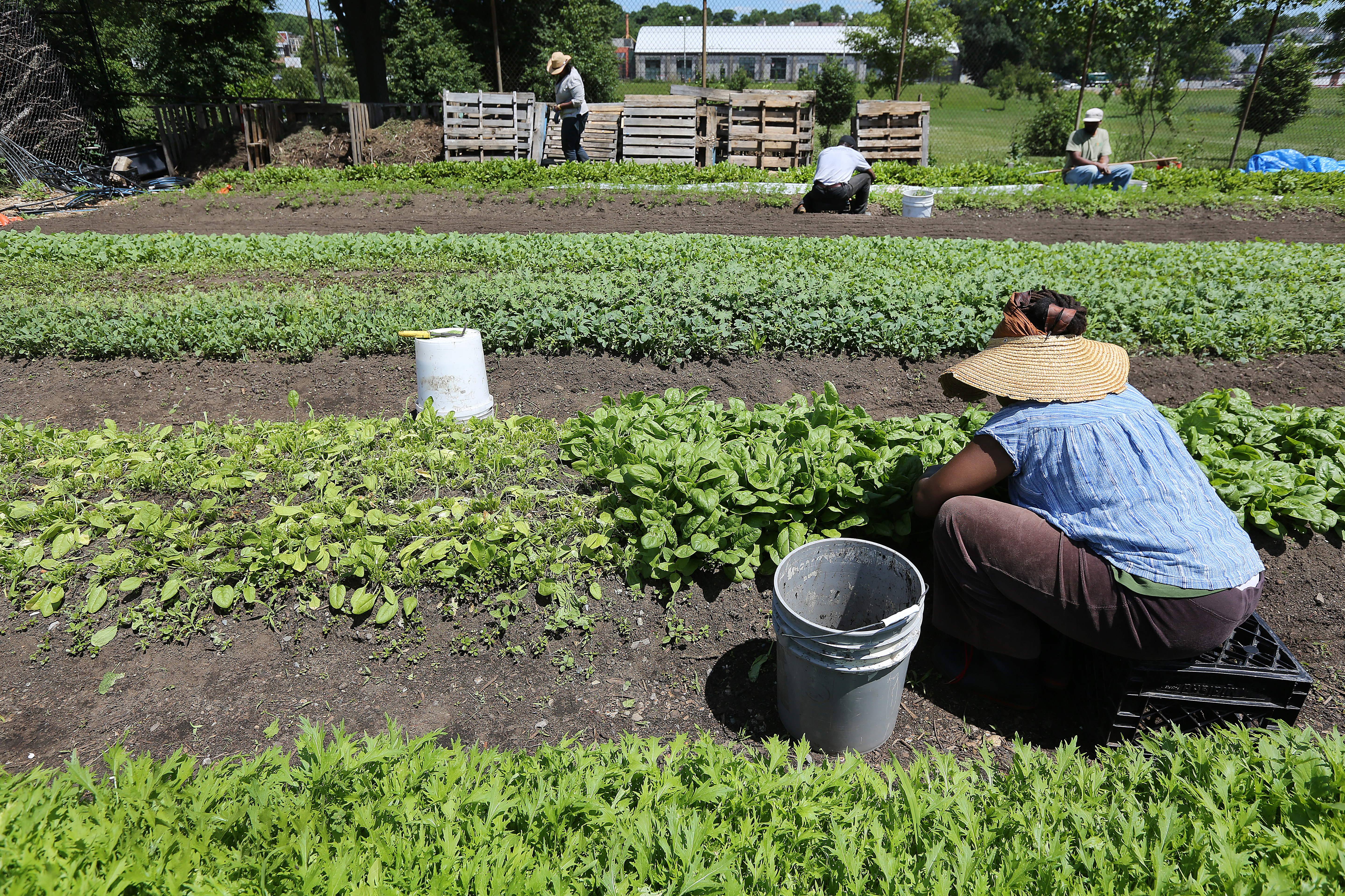 Trainees with the Urban Farming Institute.