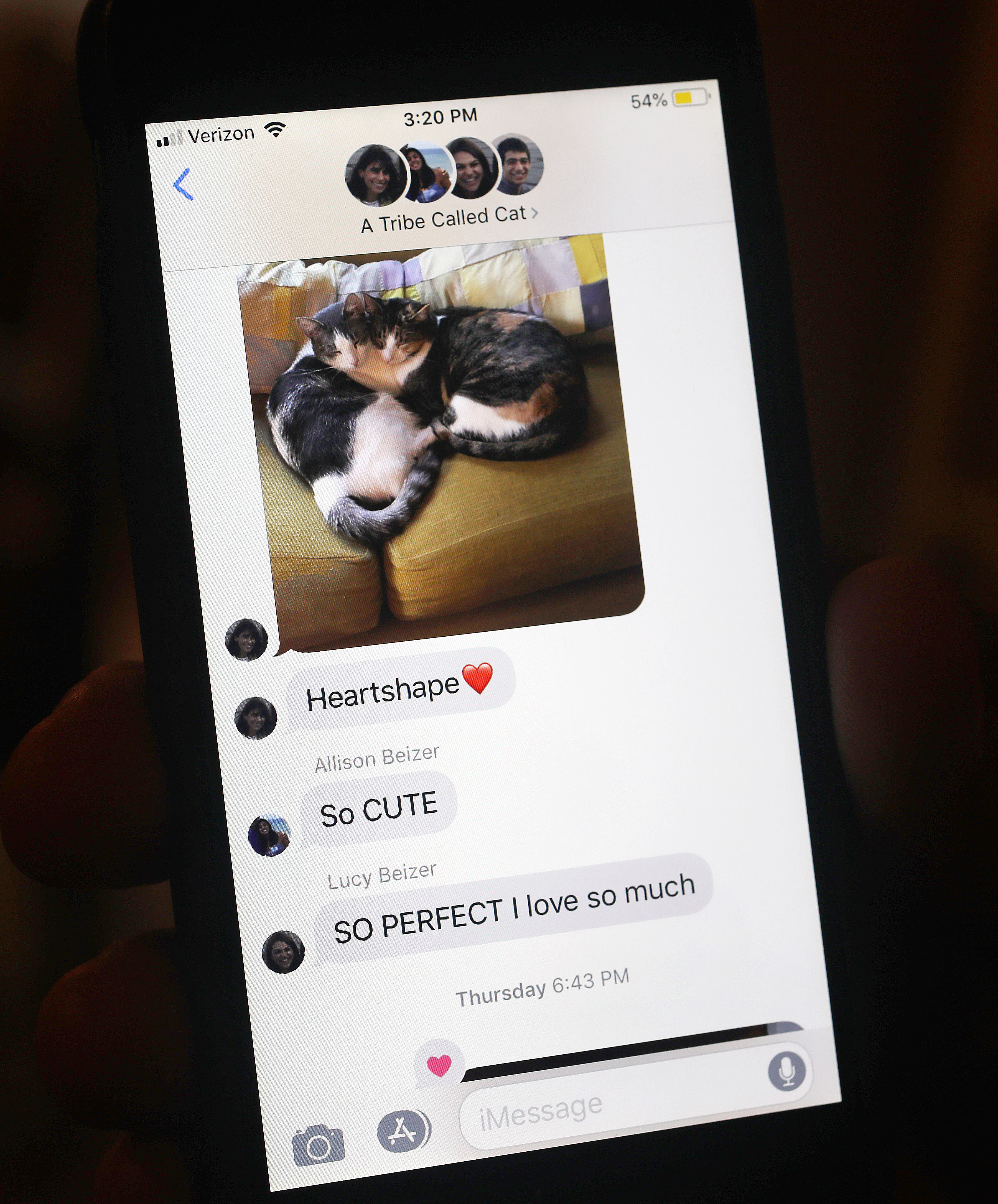 In Newton, with three kids off at college or working, Bill Beizer and his wife post photos of felines Max and Ruby to the family group chat.