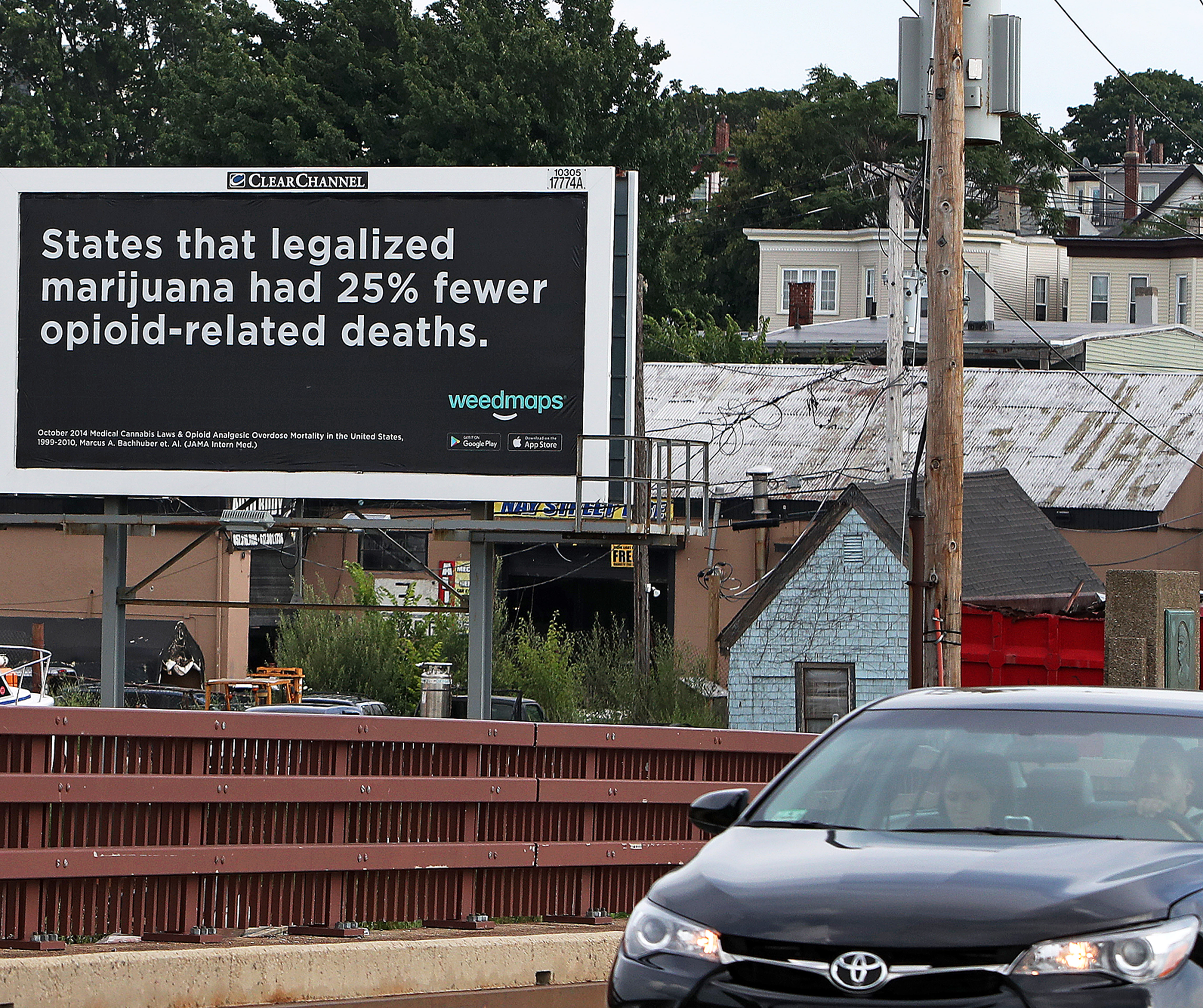 A Weedmaps billboard on Meridian Street in East Boston.