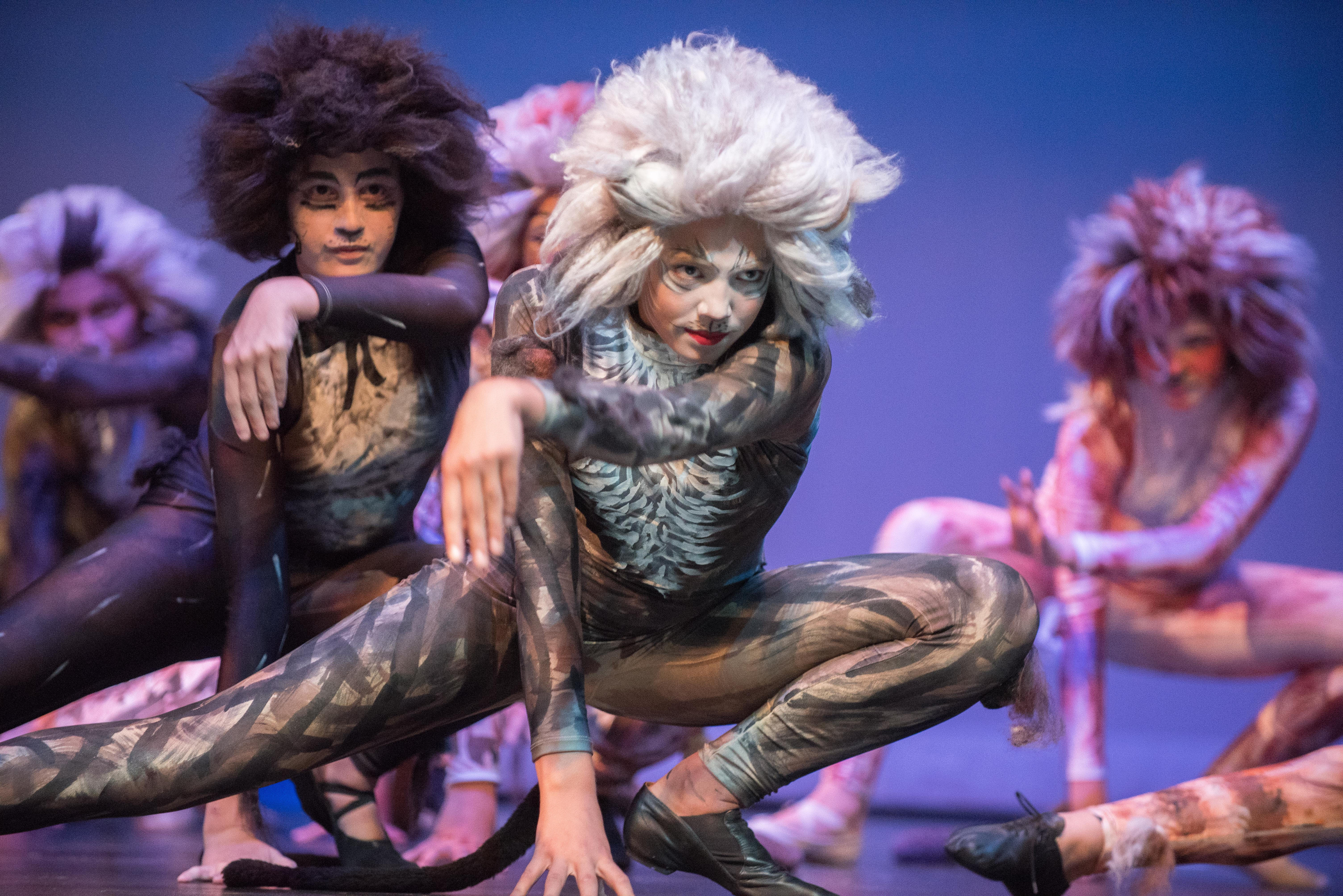 Campers at Triple Threat Theater in New Hampshire perform Cats; they made the costumes, too.