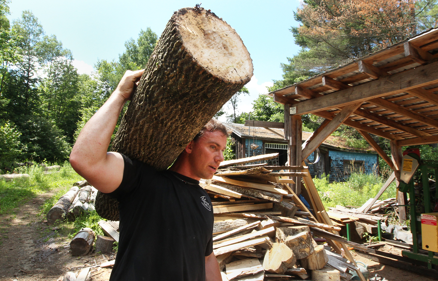LaCasse carries a piece of an ash tree he has cut down over to the sawmill to be further cut.