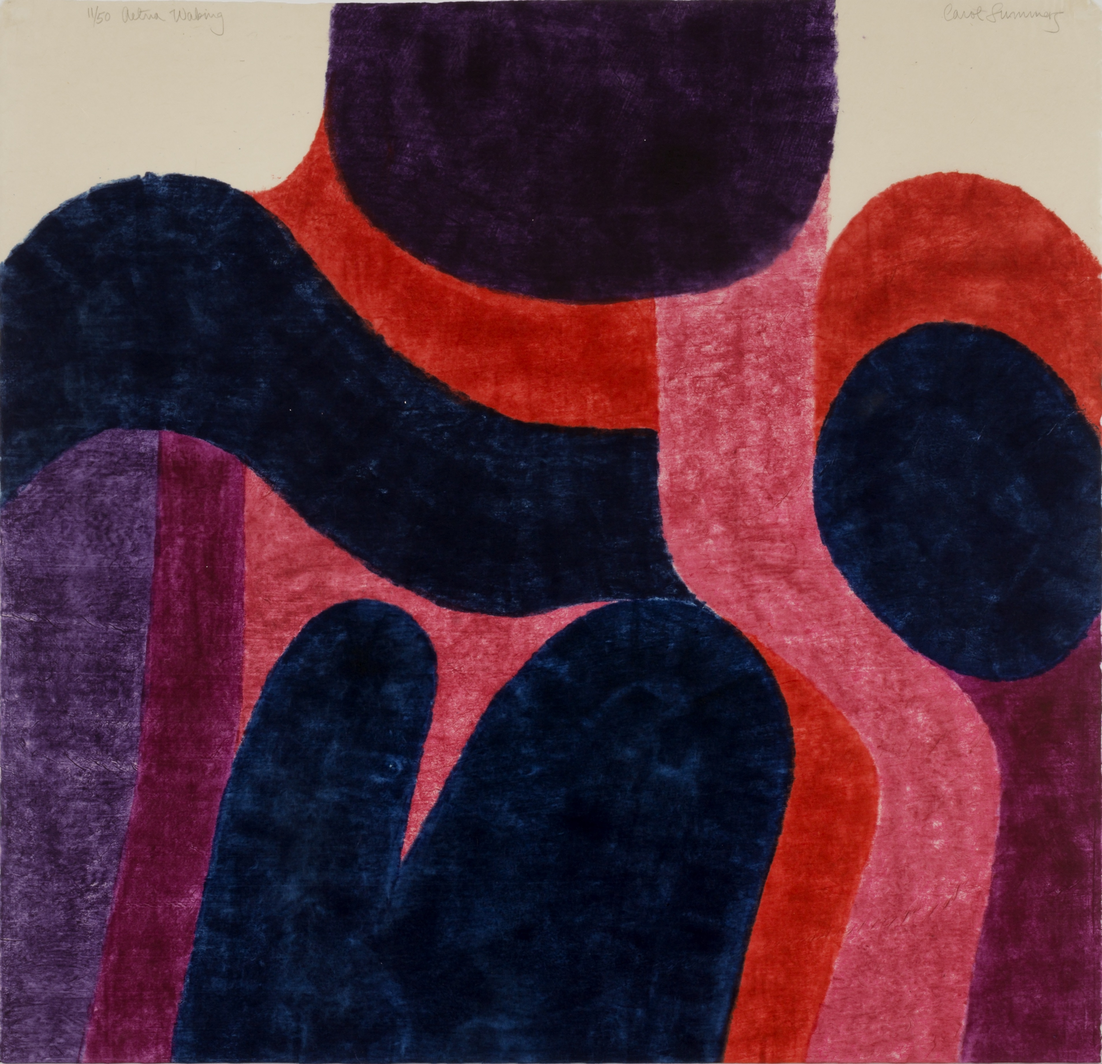 Carol Summers’s “Aetna Waking”