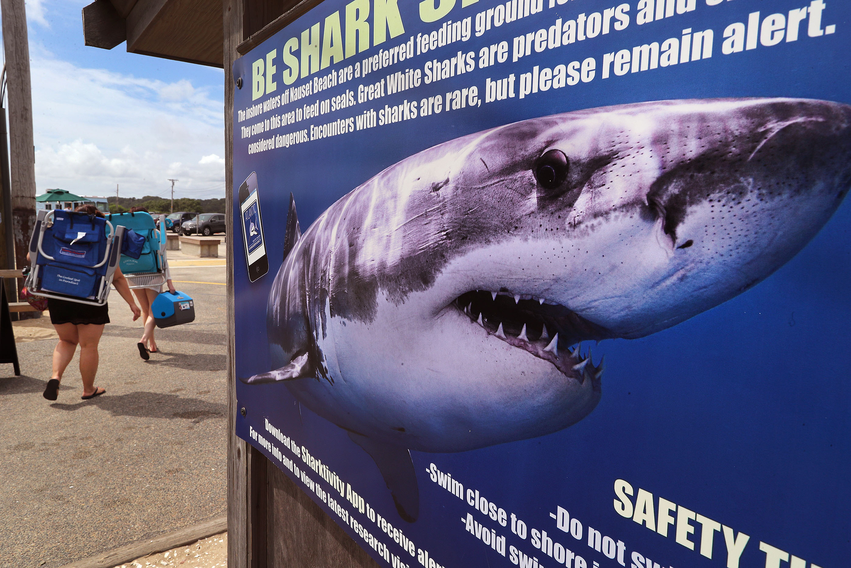A warning sign at Nauset Beach. Officials say more pointed signs will be added at the Cape Cod National Seashore.