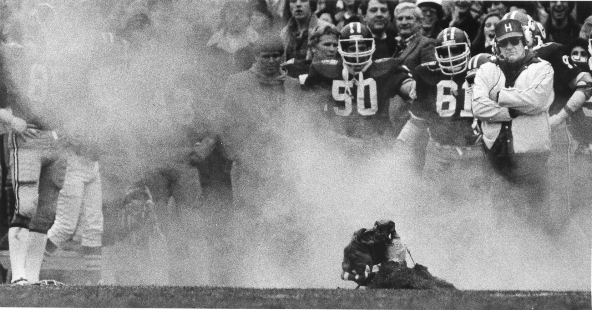 The nozzle for the pump popped above the Harvard Stadium grass once the balloon deflated. The hackers included instructions for putting it back below ground.