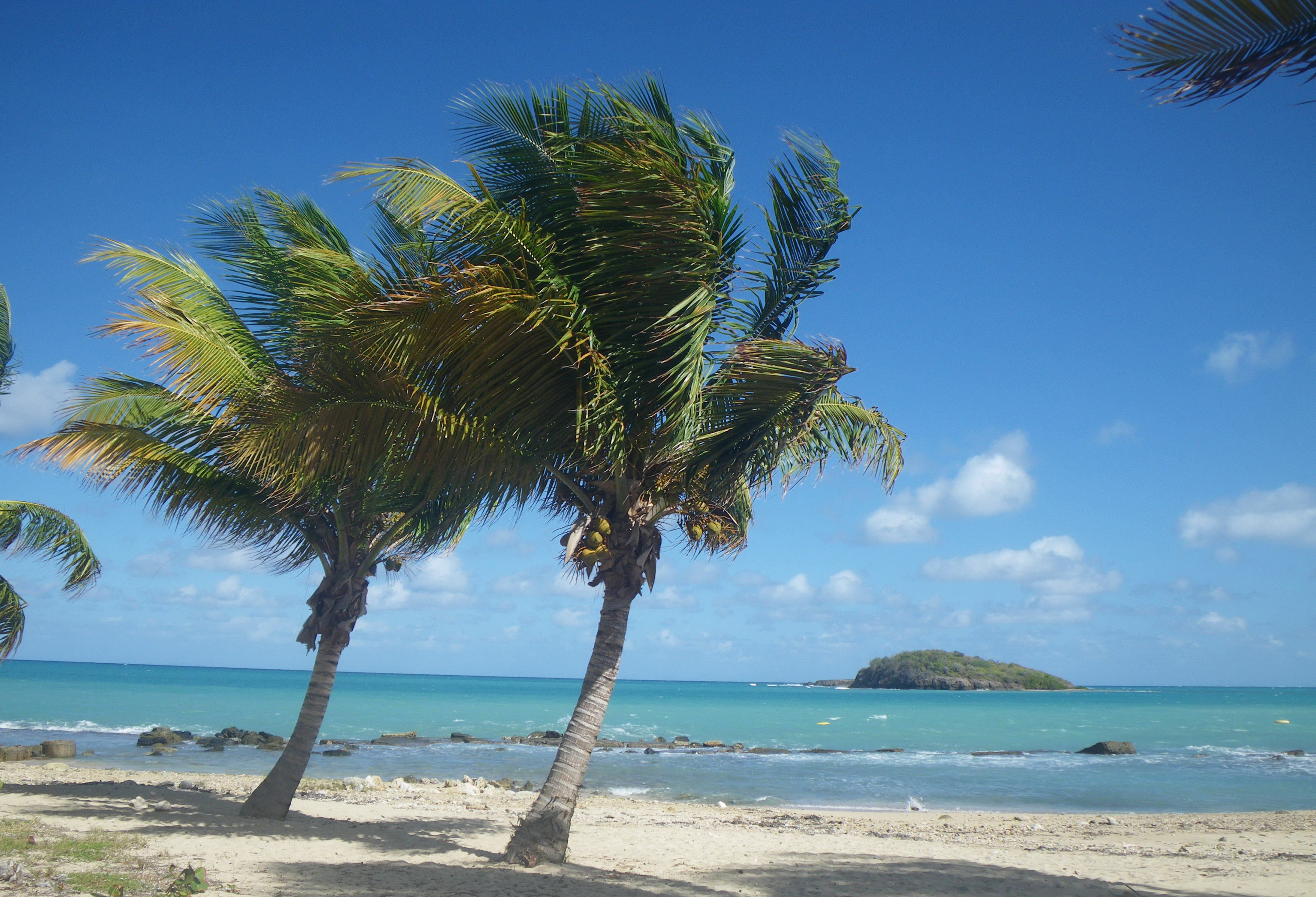 The beach at Tamarind Reef Resort with Green Cay National Wildlife Refuge just off the coast.