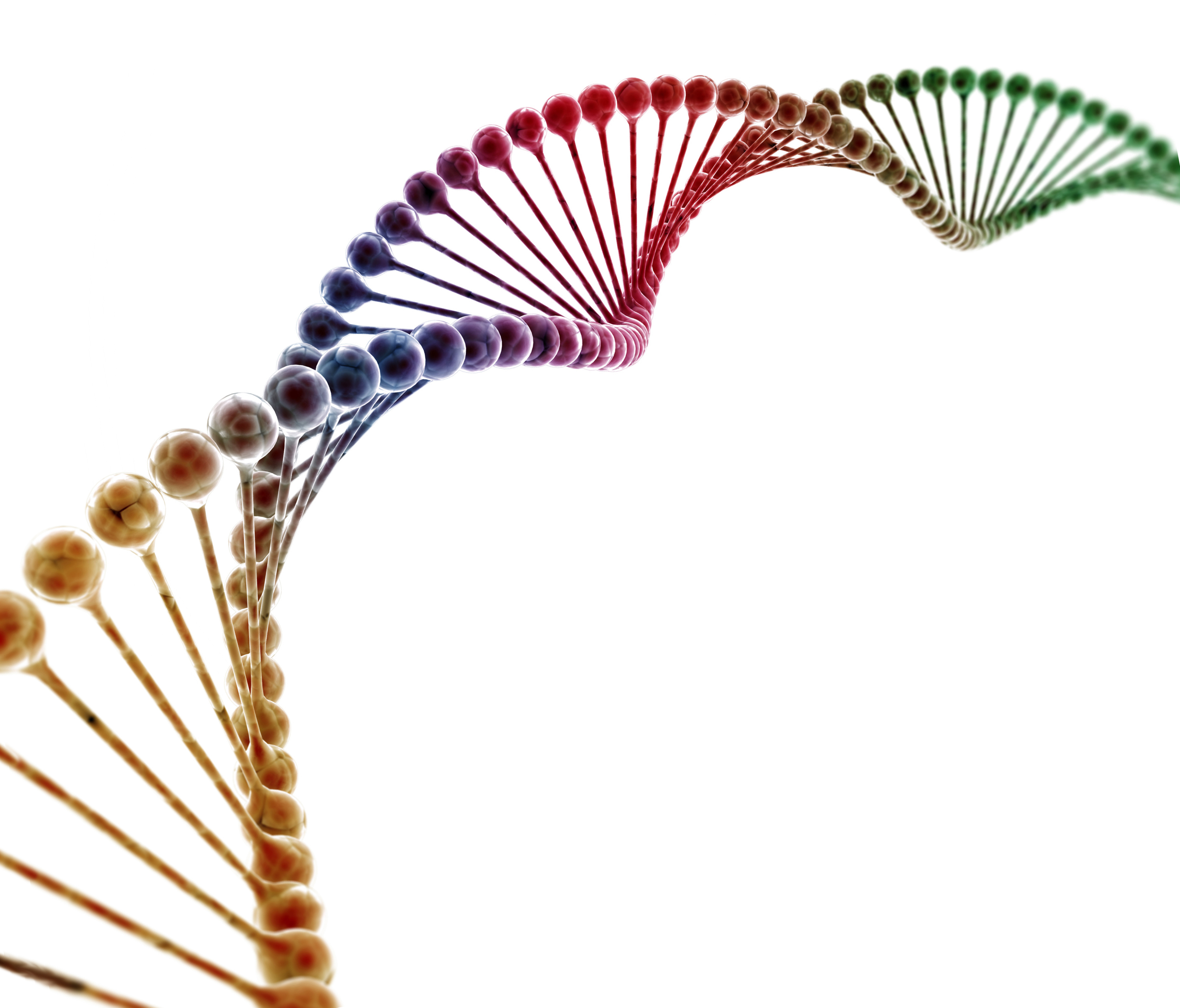 DNA.