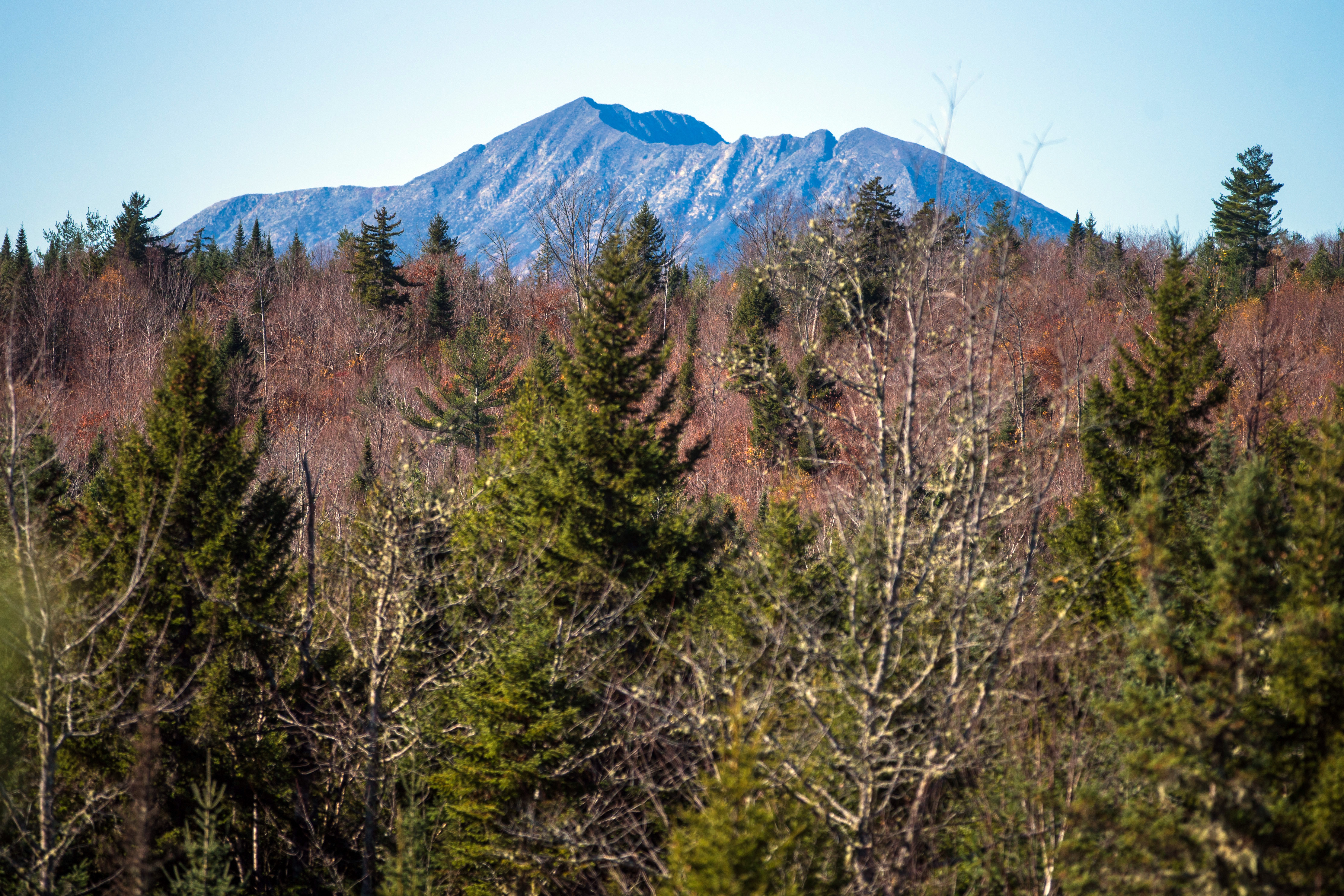 Critics have problems with the logic that Quimby’s land would be worthy of a National Park simply because it provides kodak moments of Mount Katahdin.