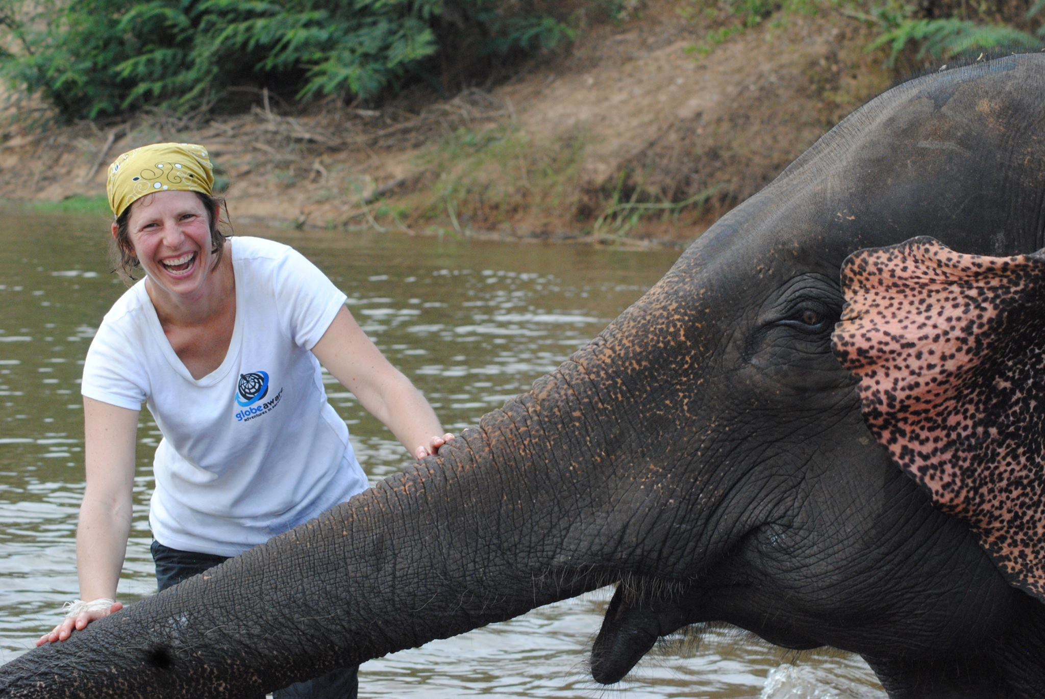 Volunteers supported elephant conservation in Thailand during a trip through GlobeAware