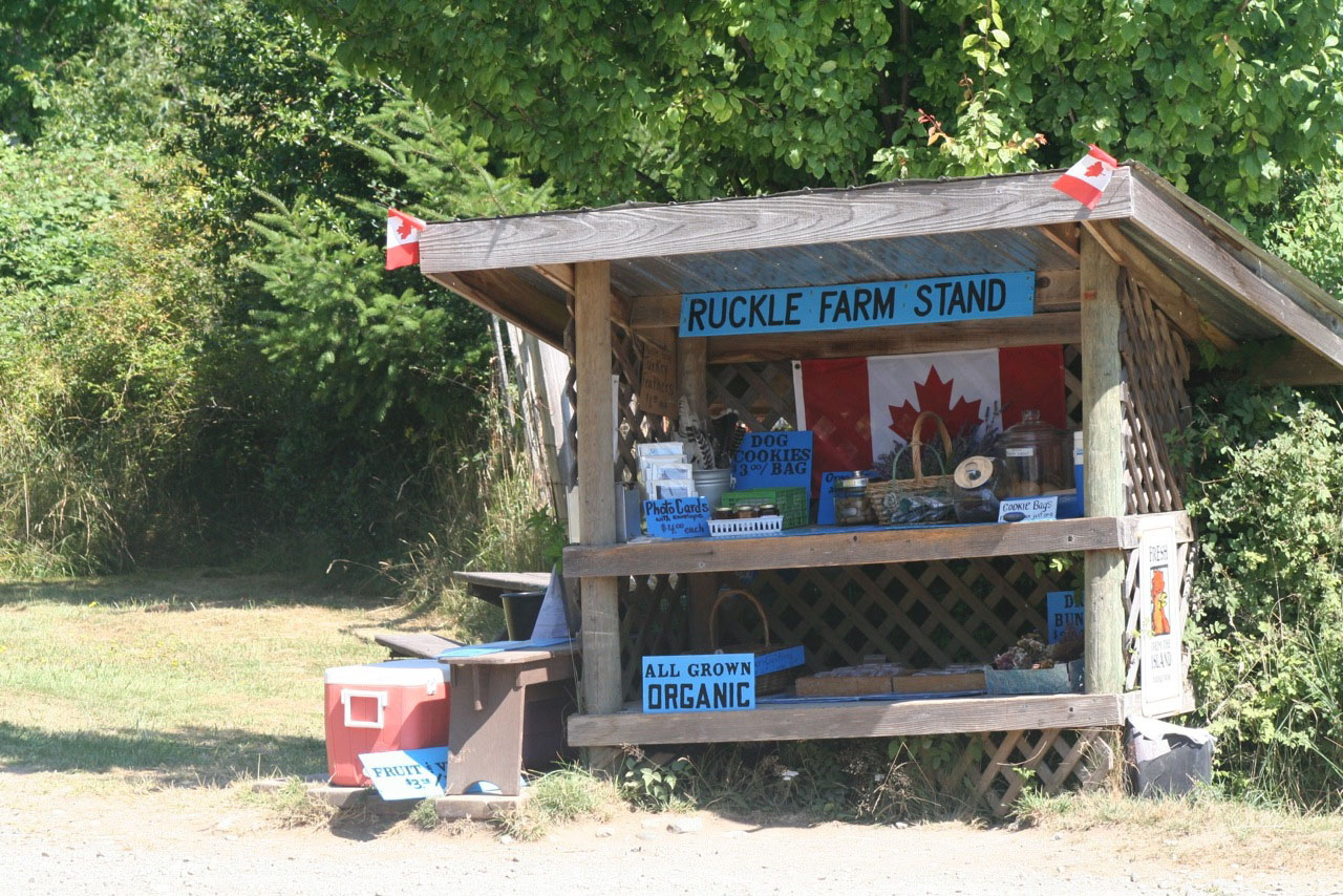 Self-serve farm stands dot the roads in Ruckle Provincial Park, offering everything from Italian plums to peas to wildflowers.