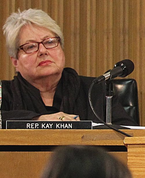 “There is a tremendous need for improvement,” said state Rep. Kay Khan.