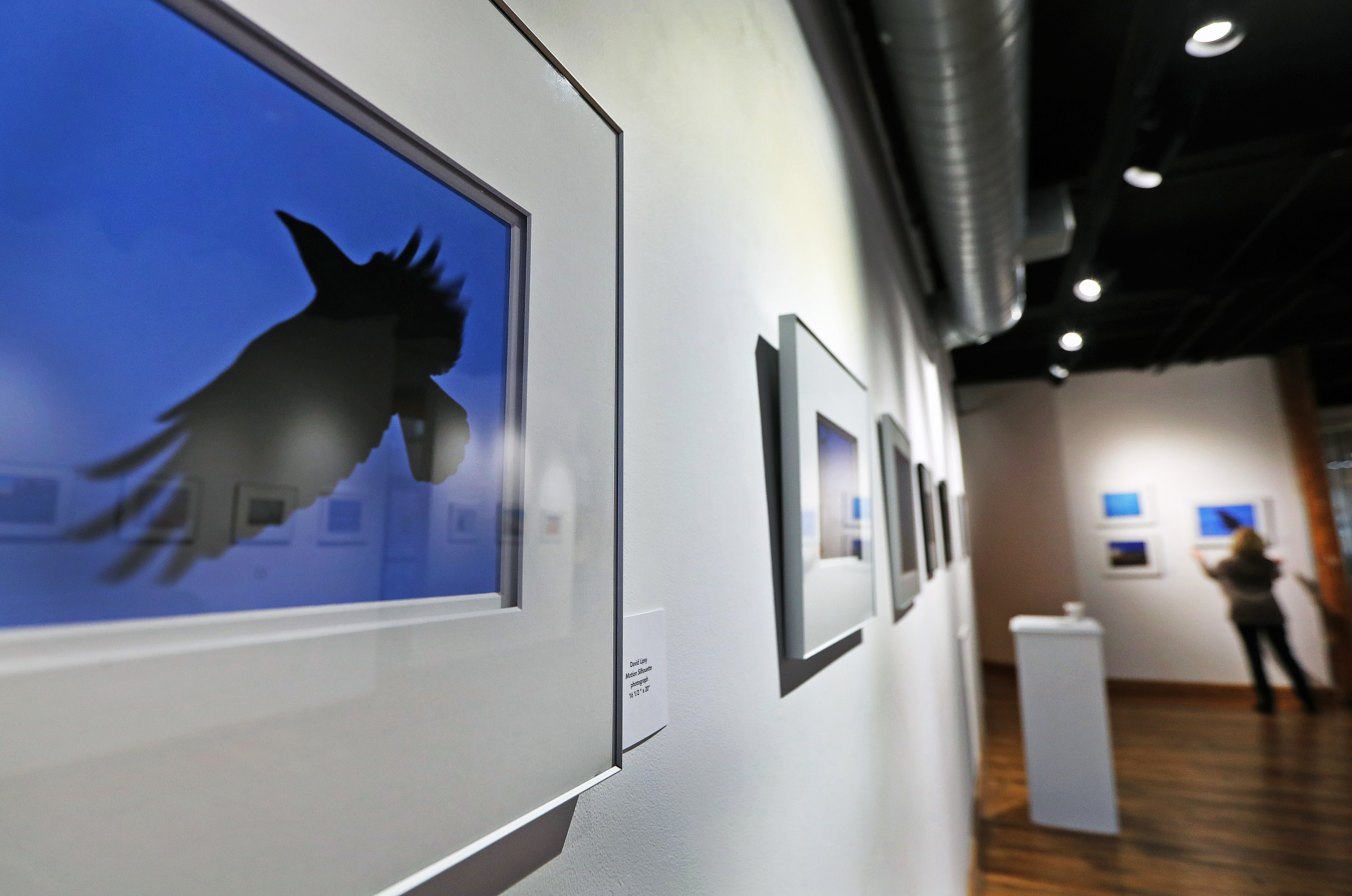 A photograph by David Lipsy called "Motion Silhouette" hangs on the wall of the Essex Art Center.
