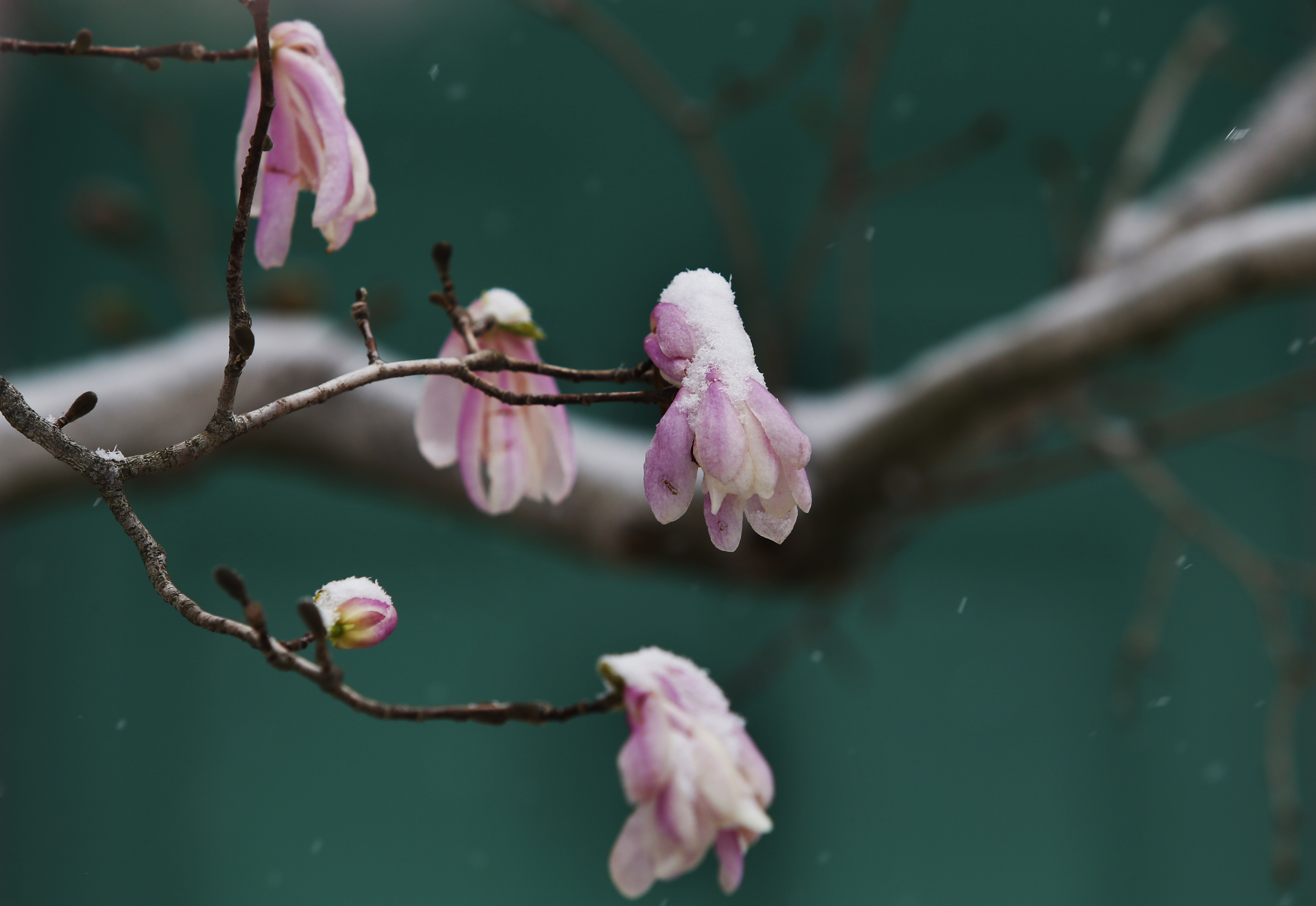 Cold on tap today as forecasters eye possible snow this weekend The