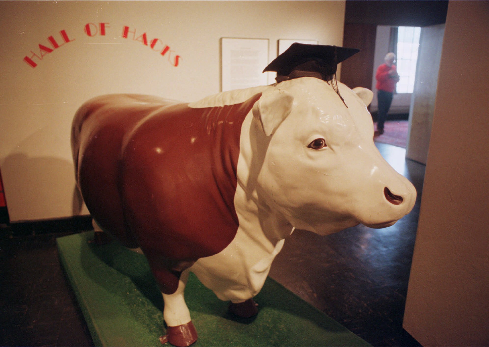 The steer is now featured in the Hall of Hacks exhibit at the MIT museum (it is joined there by the fake police car and other favorite hacked objects).