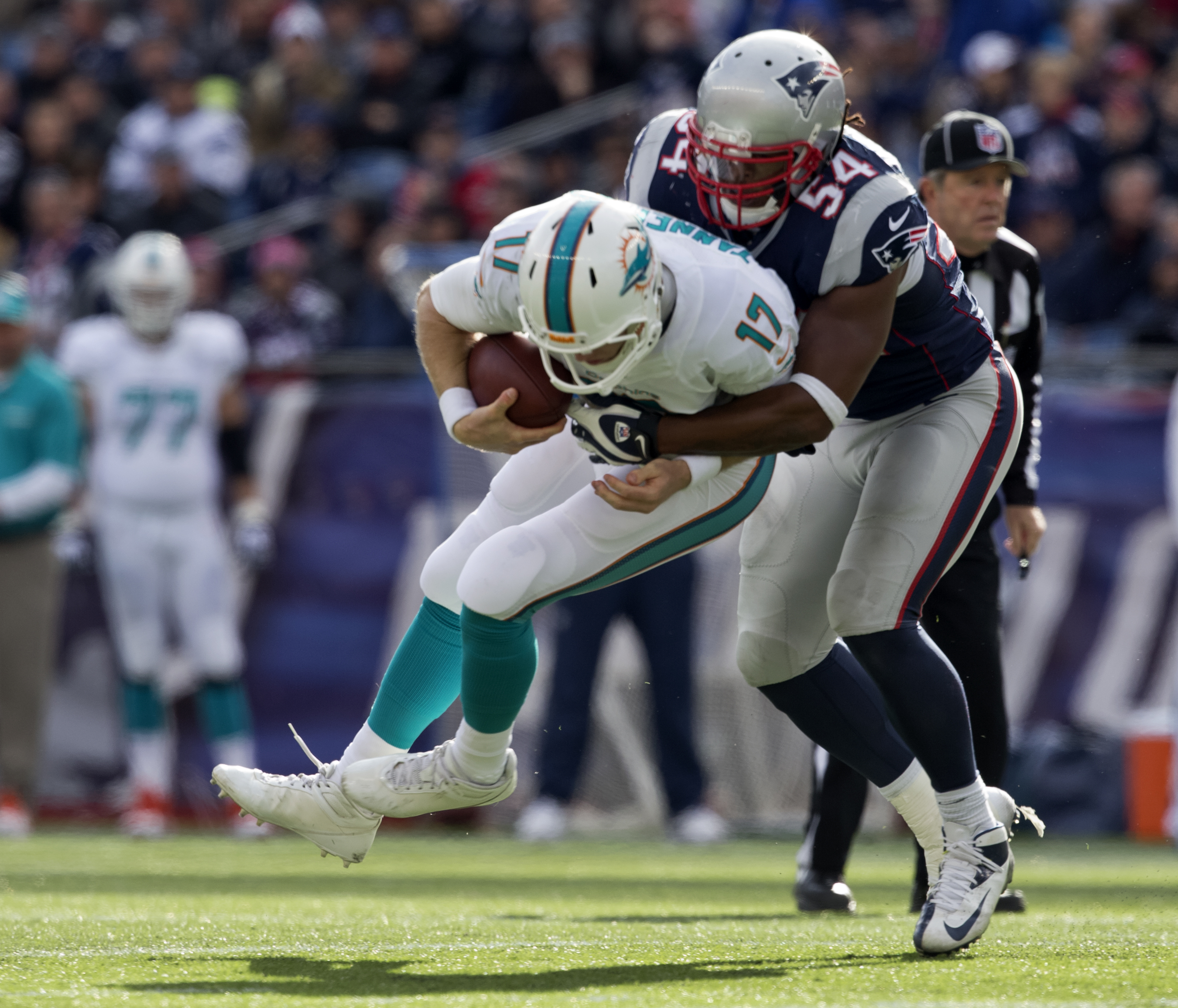 Dont'a Hightower sacked Dolphins quarterback Ryan Tannehill in the third quarter.