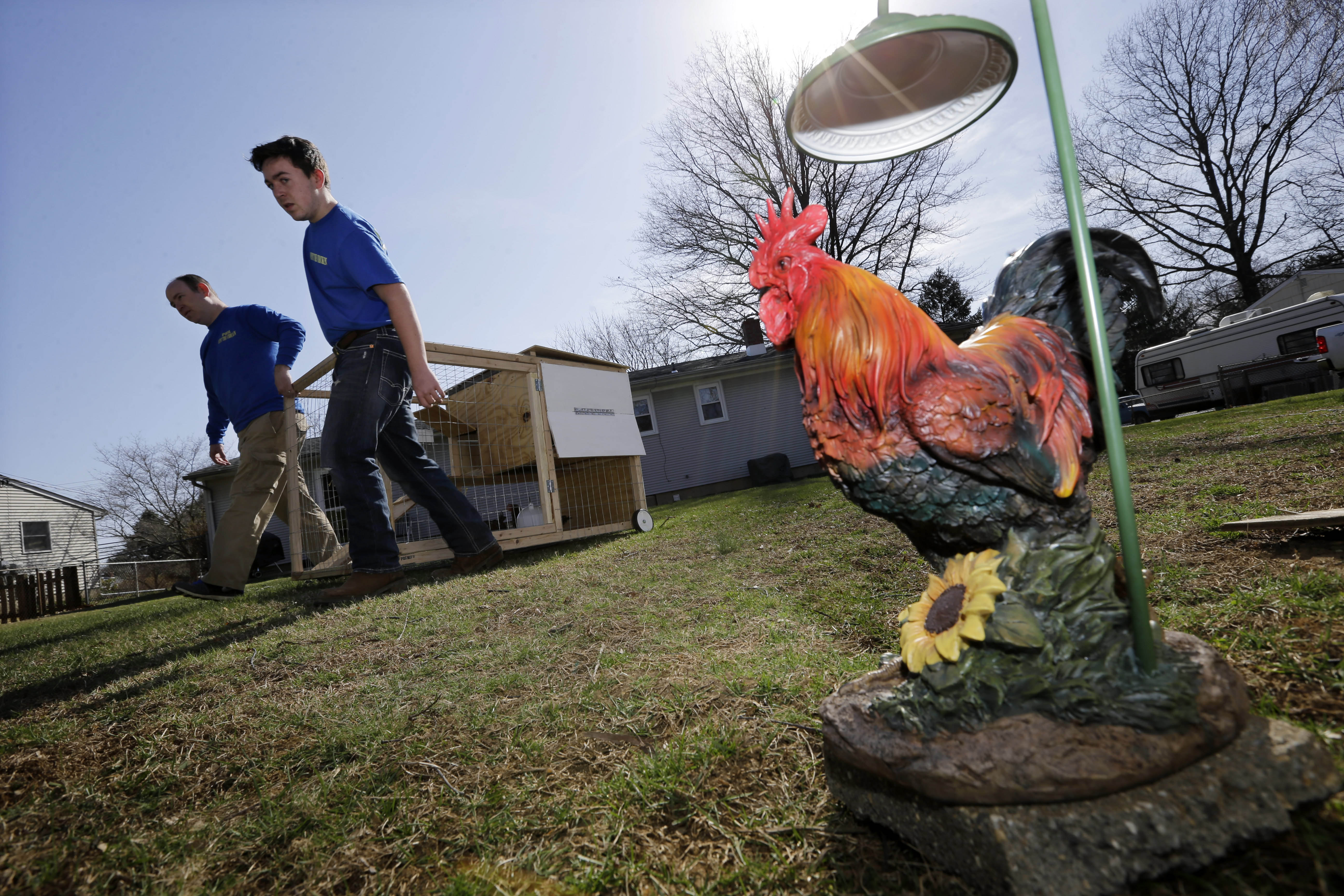A small rental coop is delivered to a customer's backyard by Rent The Chicken workers in Chesterfield, N.J.