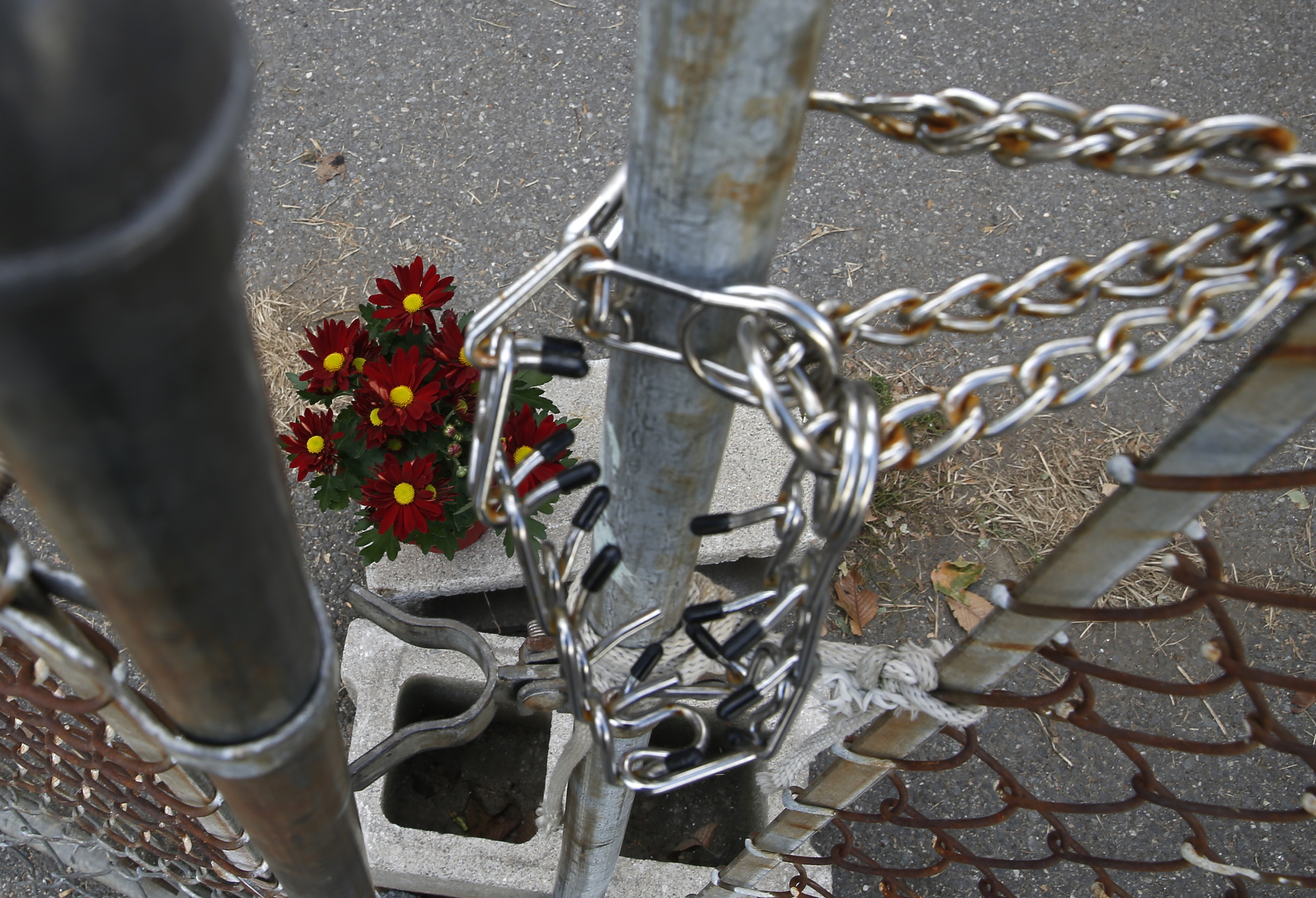 Flowers sat inside the fenced in area where a seven-year-old boy was killed by two pit bulls is seen in Lowell.
