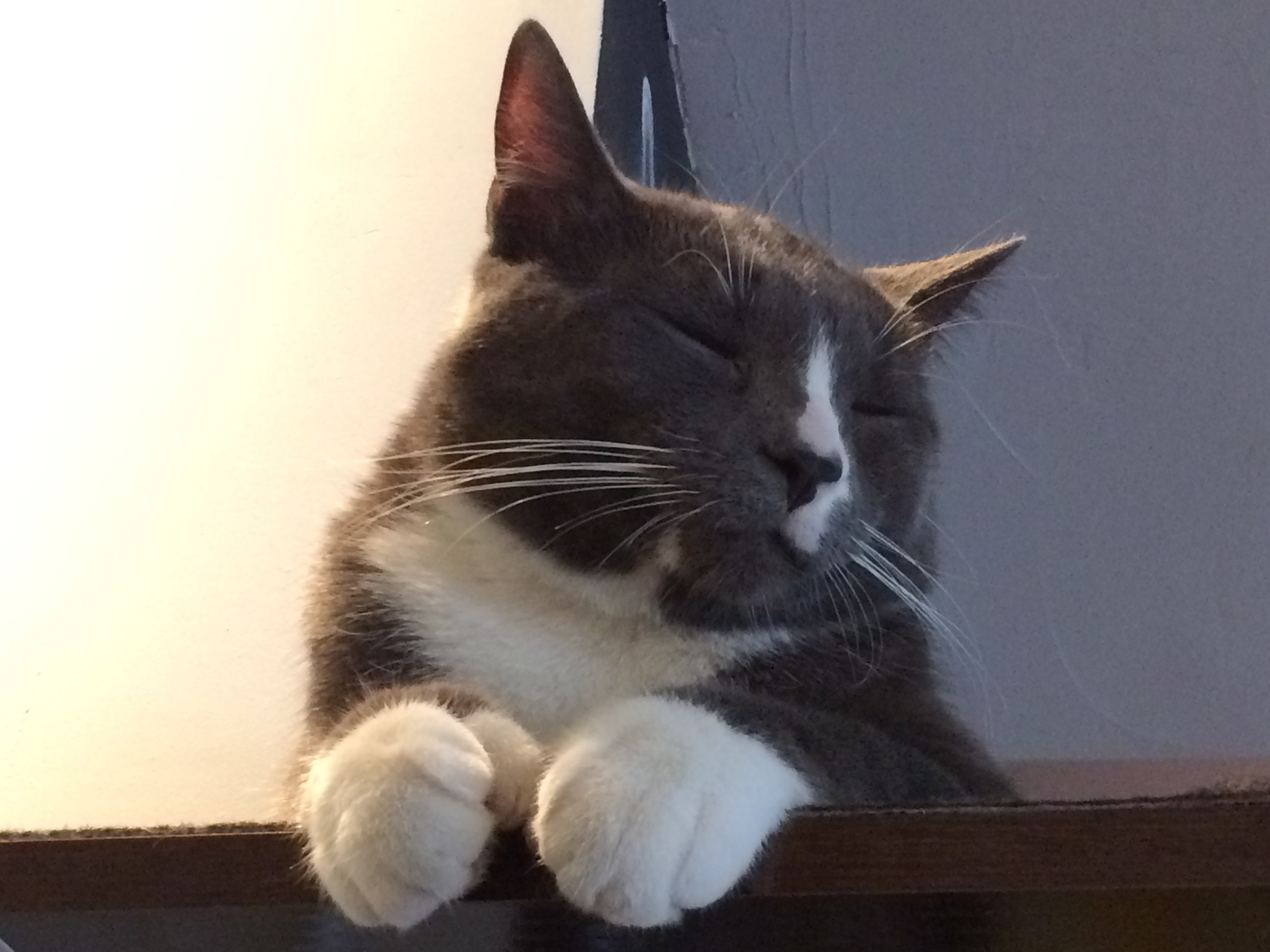 Chopin lives at the Cafe Chat L’Heureux.