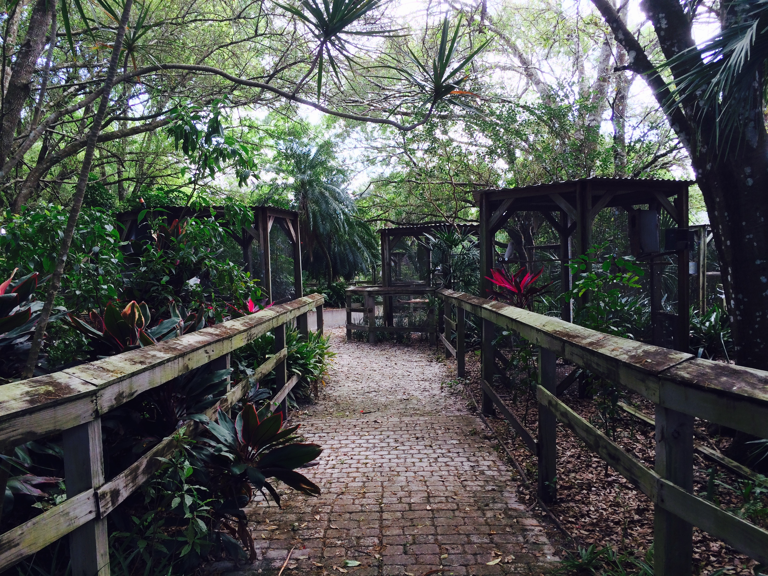 One of the pathways at Bird Gardens of Naples, Keri and Griffith Lohrman’s five-acre Florida sanctuary supported by donations and fund-raisers.
