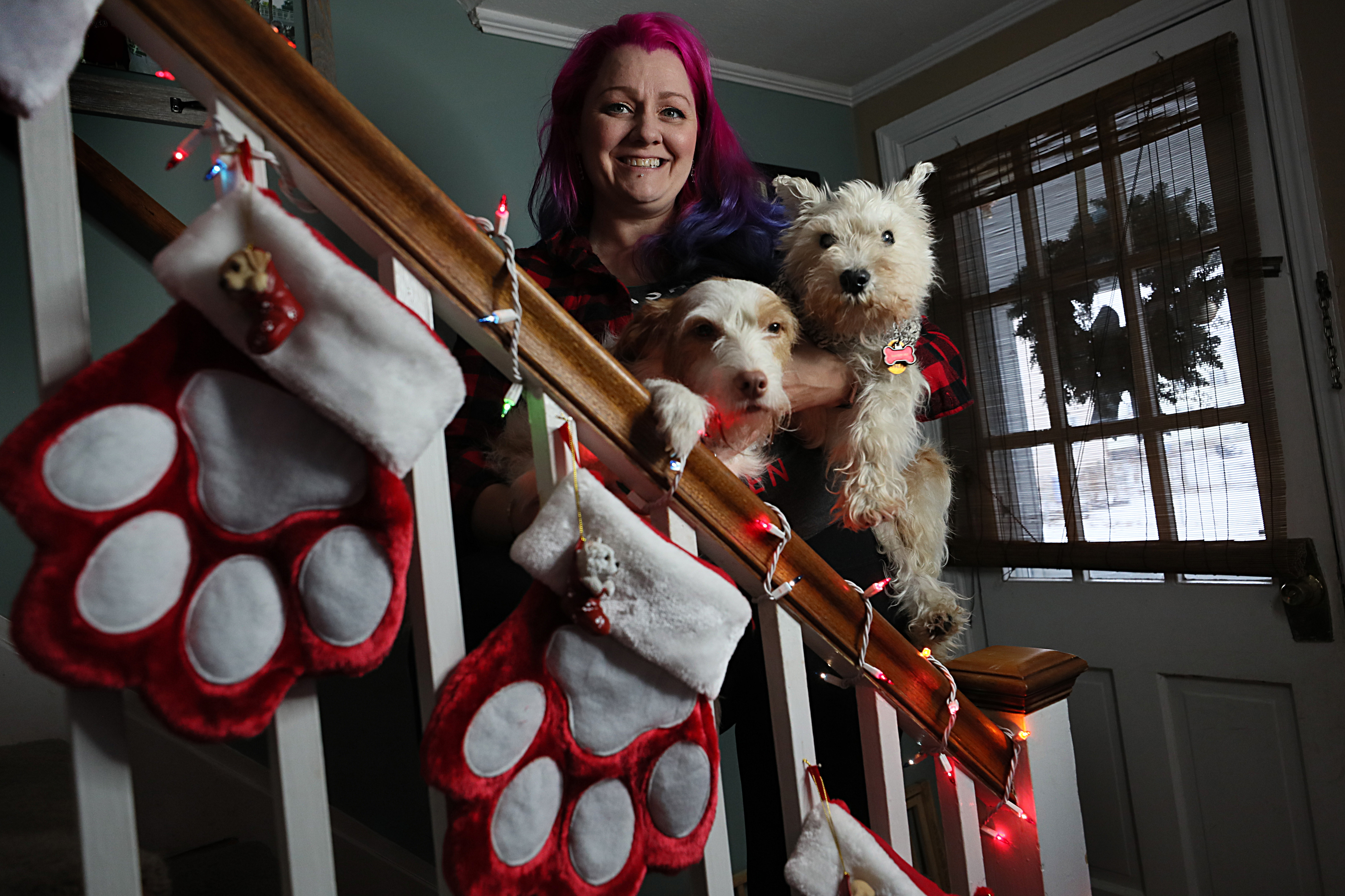 Manda Carco is a "dog parent" who goes all out for the holidays and wraps gifts for her dogs, sends out Christmas cards, and brings them to see Santa. She holds two of her three dogs on the staircase where the dogs' stockings hang.