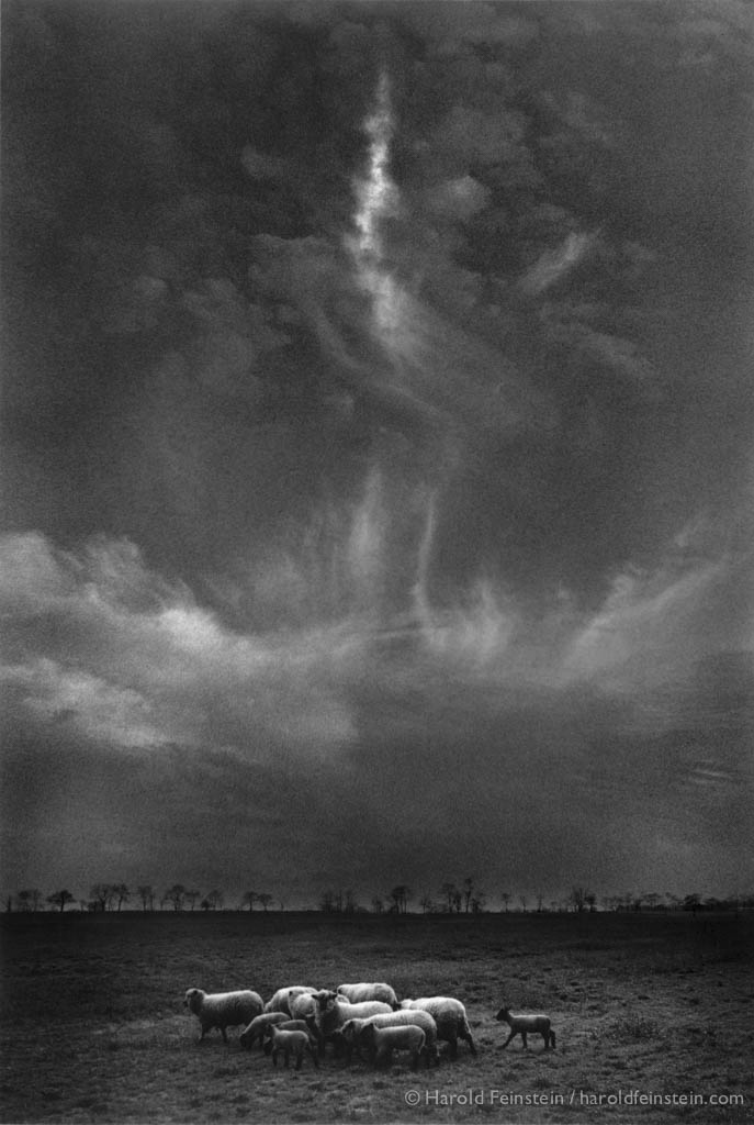 "Sheep Under Clouds," a 1961 image Feinstein created from a sheep photo taken in Ringoes. N.J., and clouds from Coney Island.