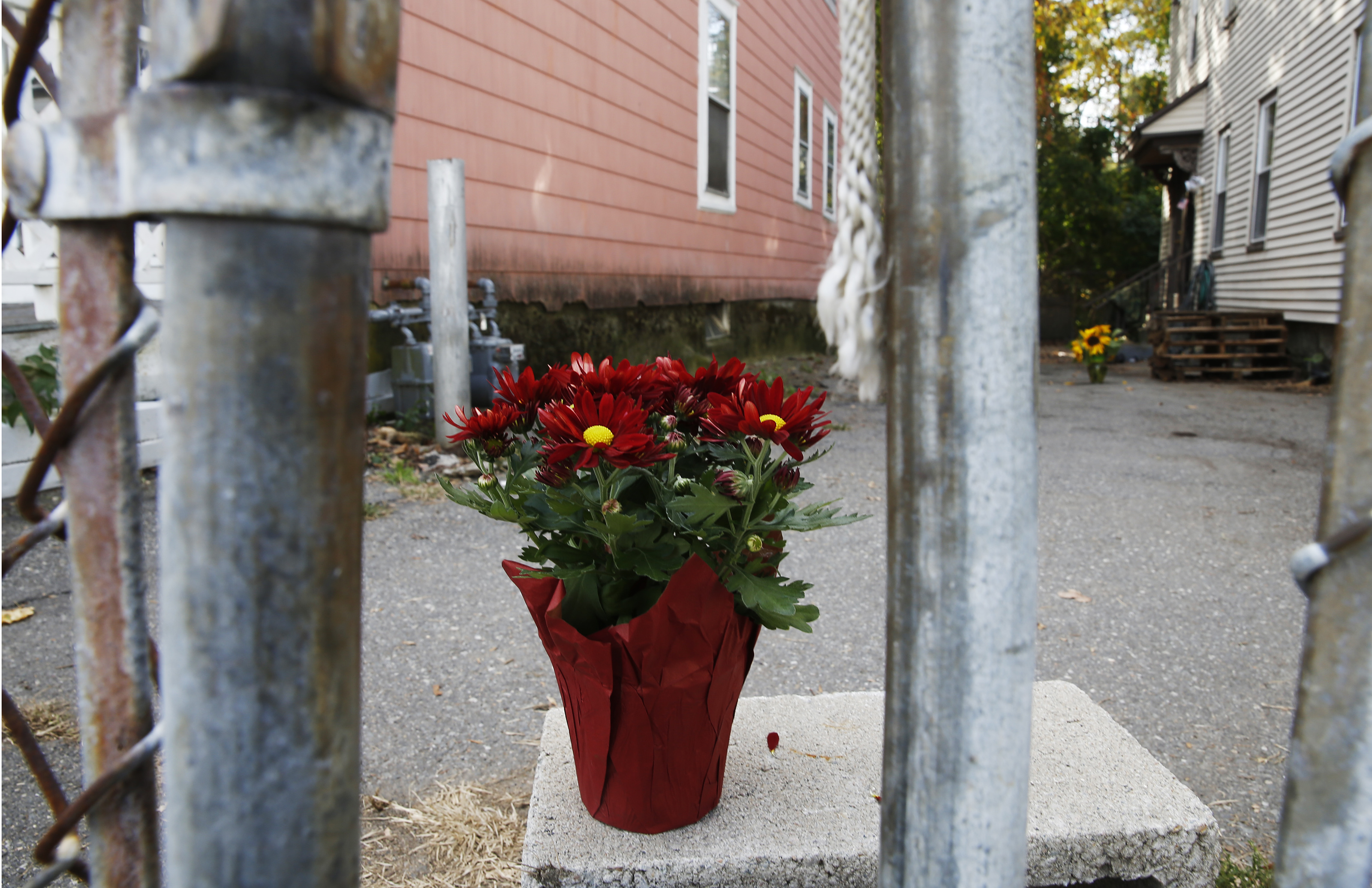 Flowers sat inside the fenced-in area where the boy was killed.