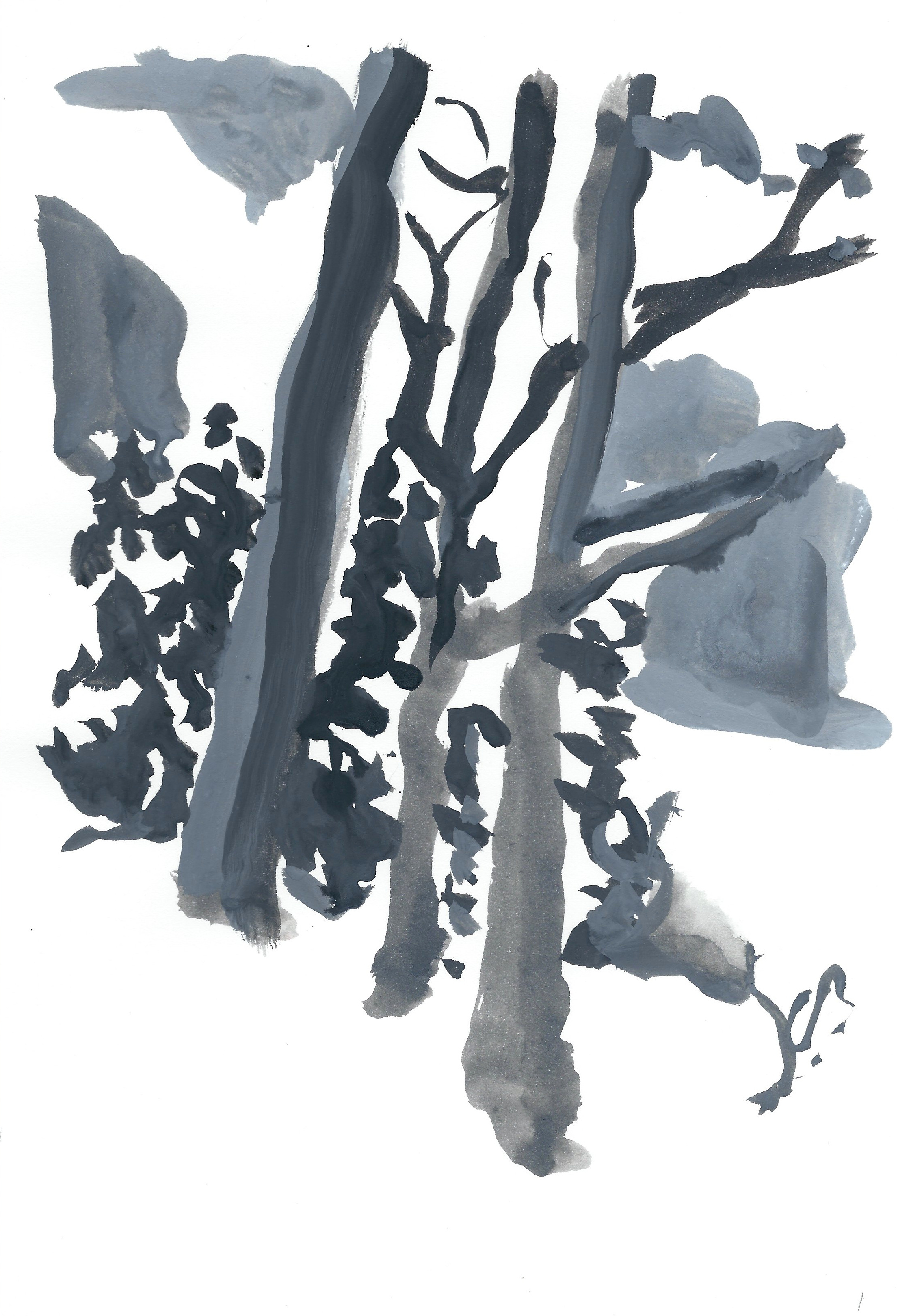 First Fall, black and white gouache on paper, 11 x 7 inches.