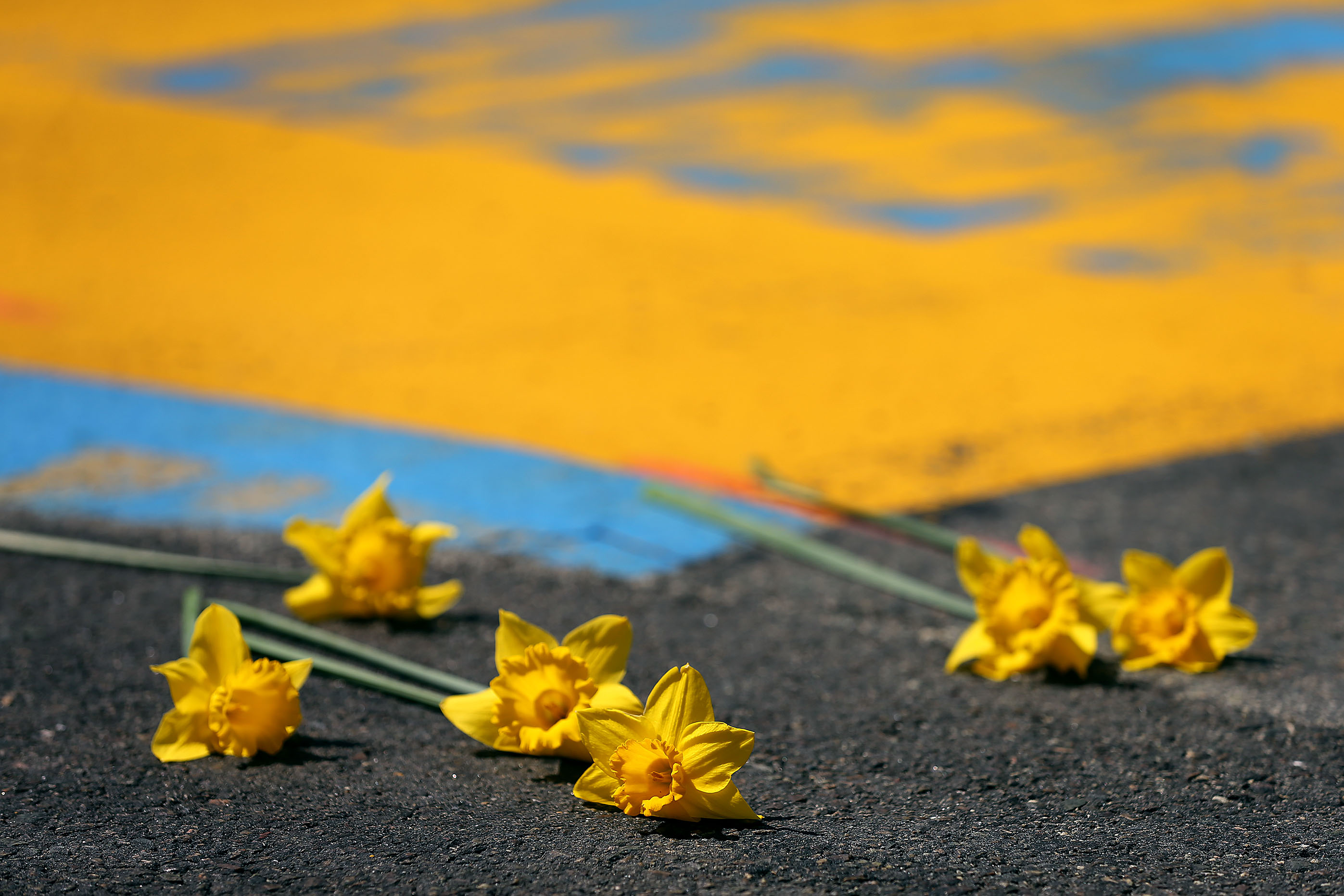 Daffodills were placed at the finish line.