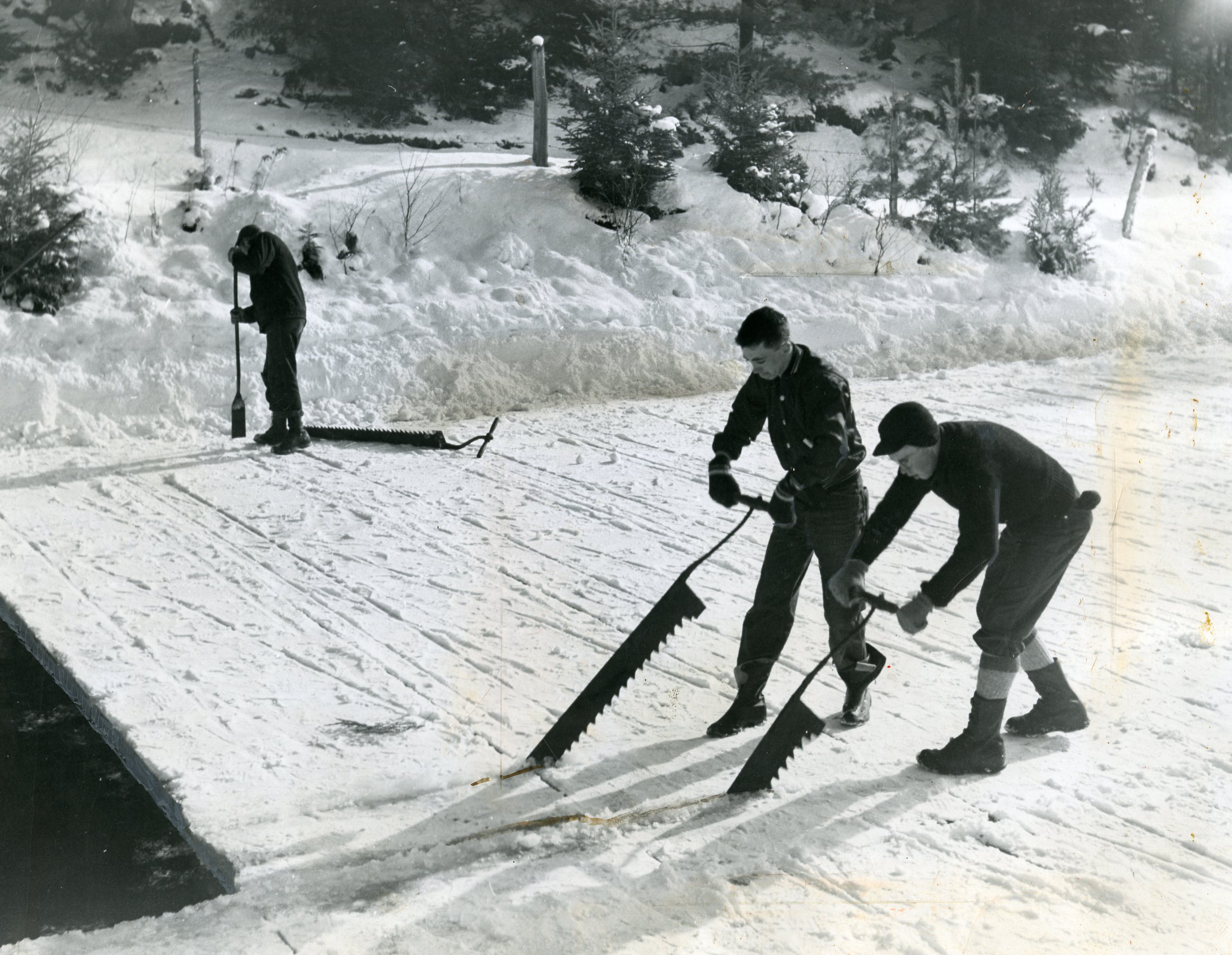 Men used heavy handsaws, much like those used by lumberjacks, to cut ice.