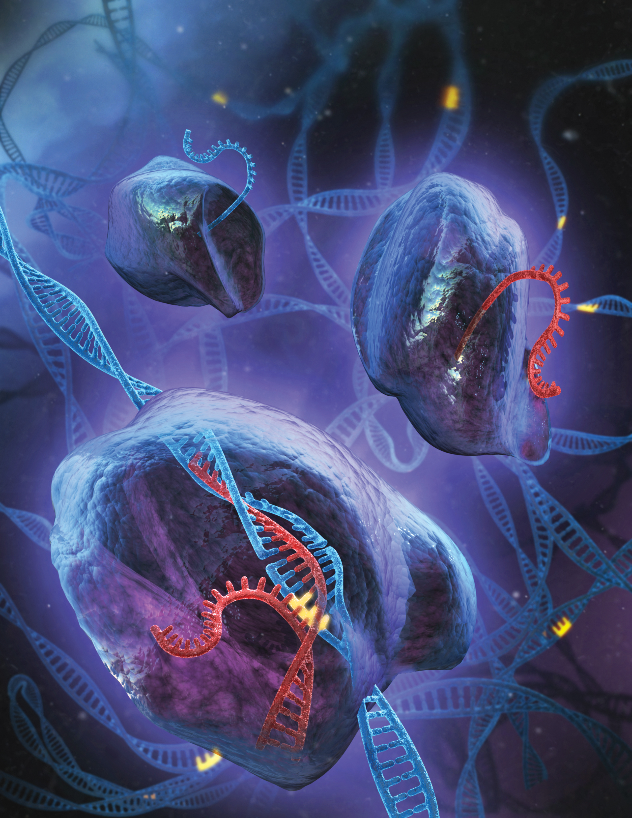 The process involves identifying faulty genes (represented in yellow in this illustration) on DNA strands (blue), then replacing them through an enzyme known as Cas9. The enzyme is guided to the problem genes by RNA (red).