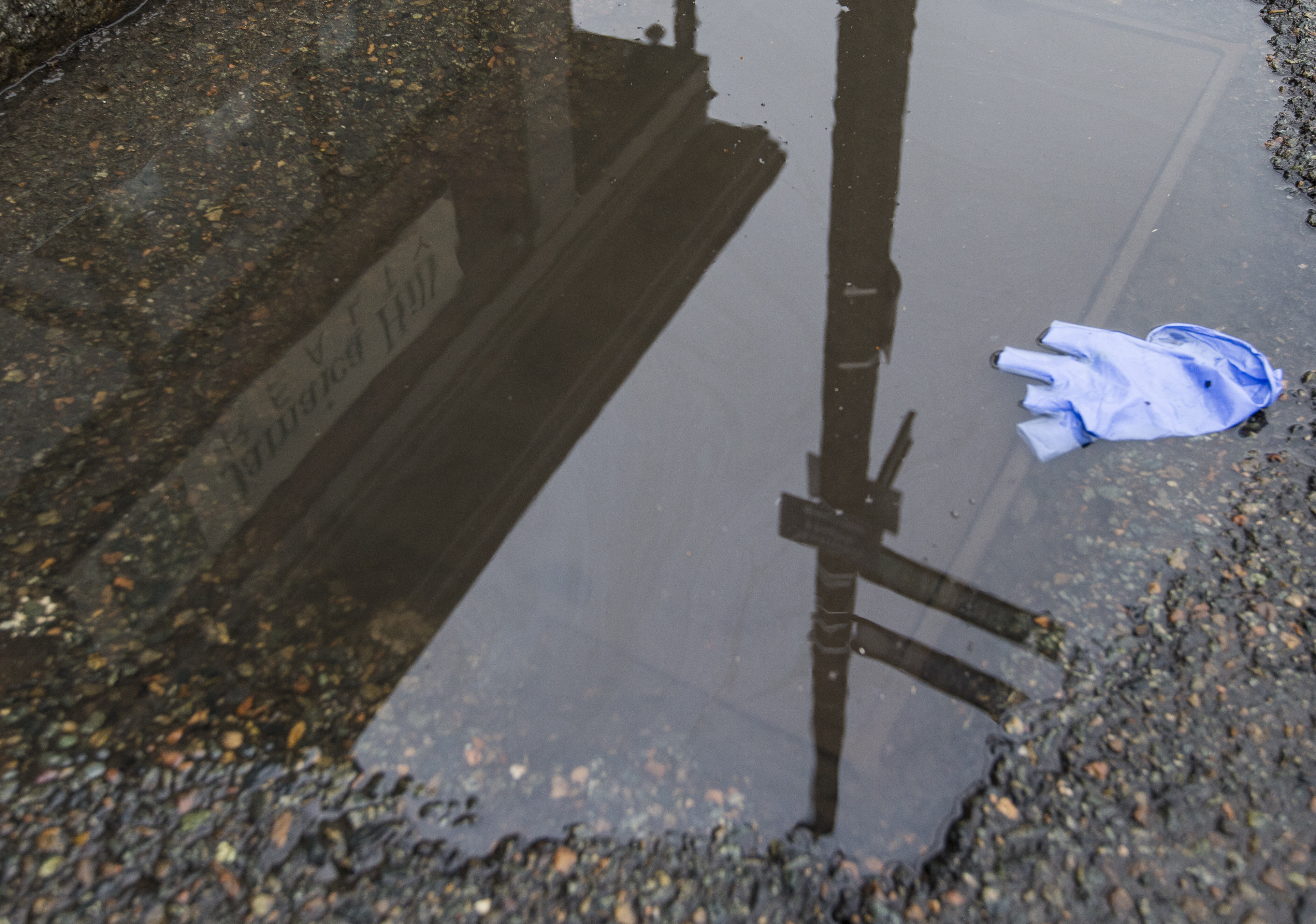 A discarded glove sat in a puddle on Centre Street in Jamaica Plain.
