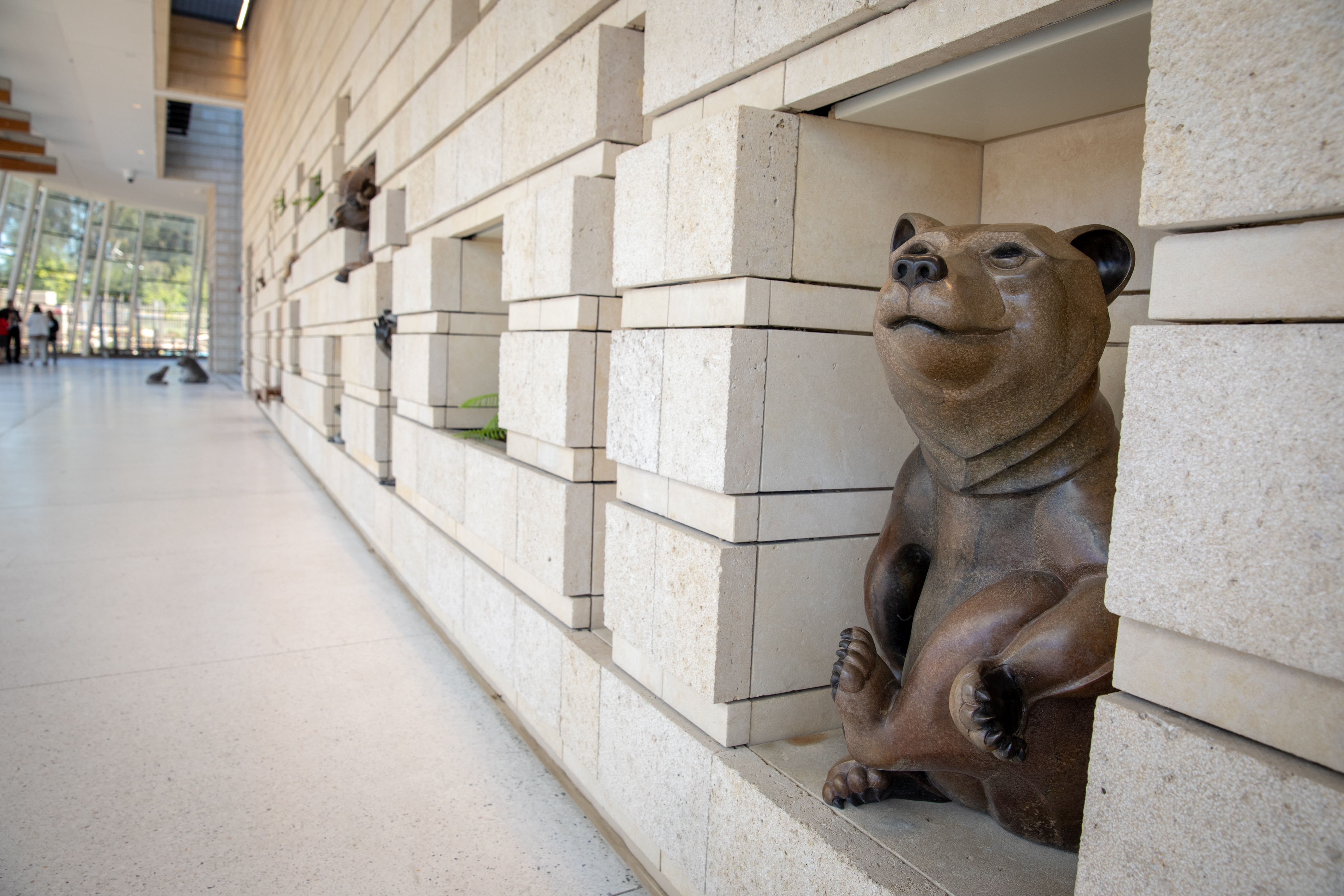 A statue of an extinct California Grizzly Bear greeted visitors to the new Lucile Packard Children’s Hospital.