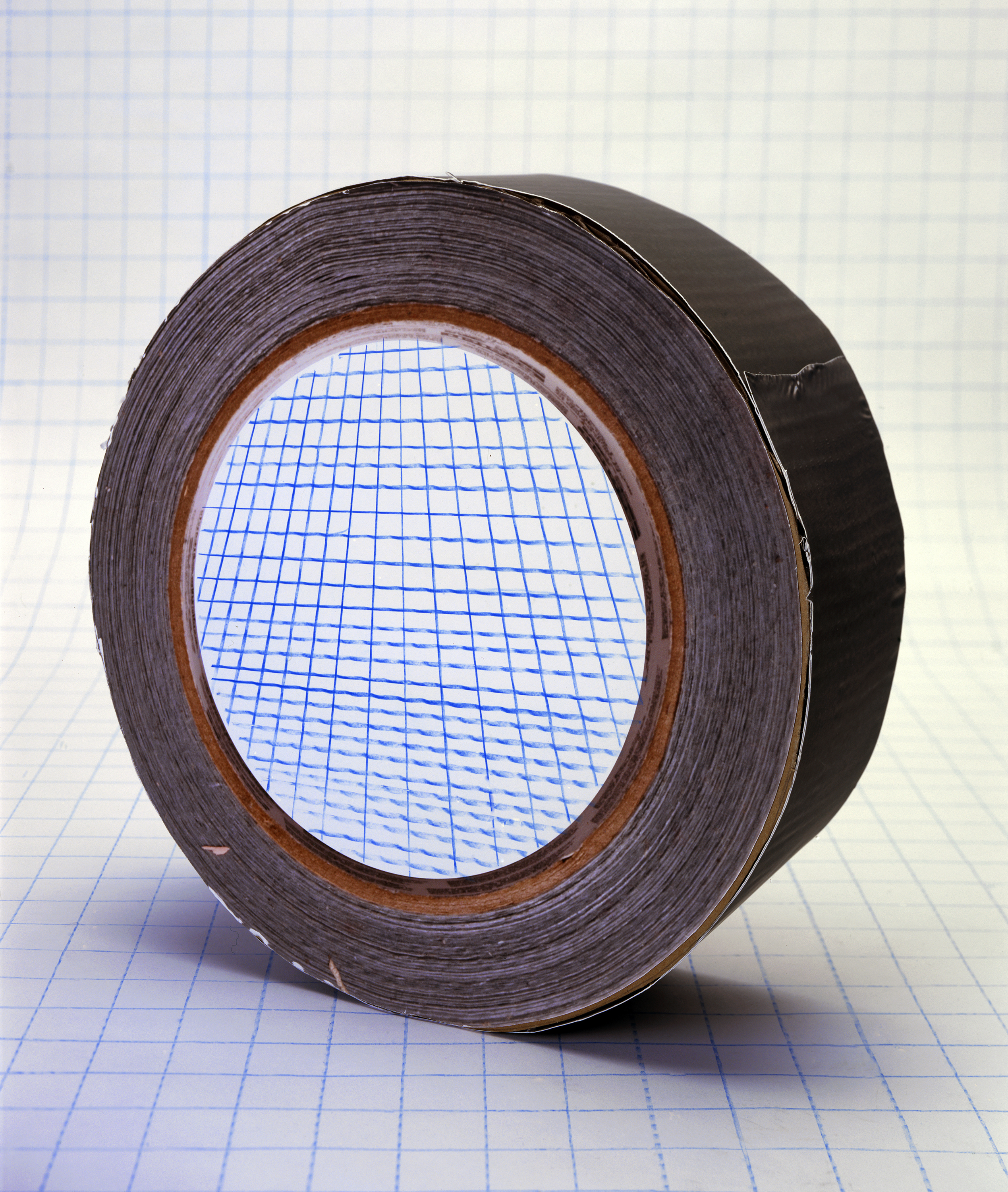 Danny Goodwin’s “Duct Tape Decoy.”