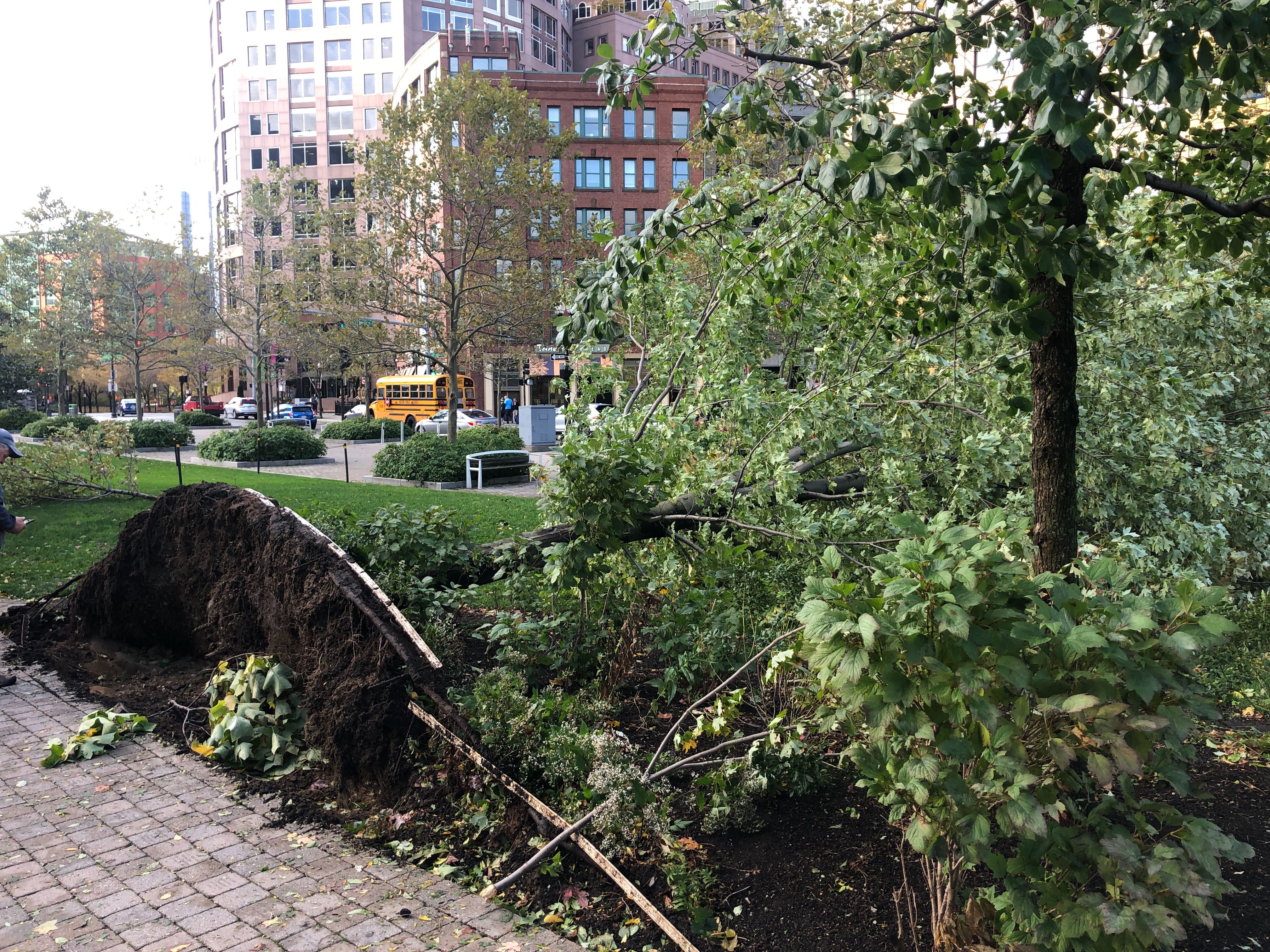 Storm damage was visible on the Kennedy Greenway in Boston Thursday morning.