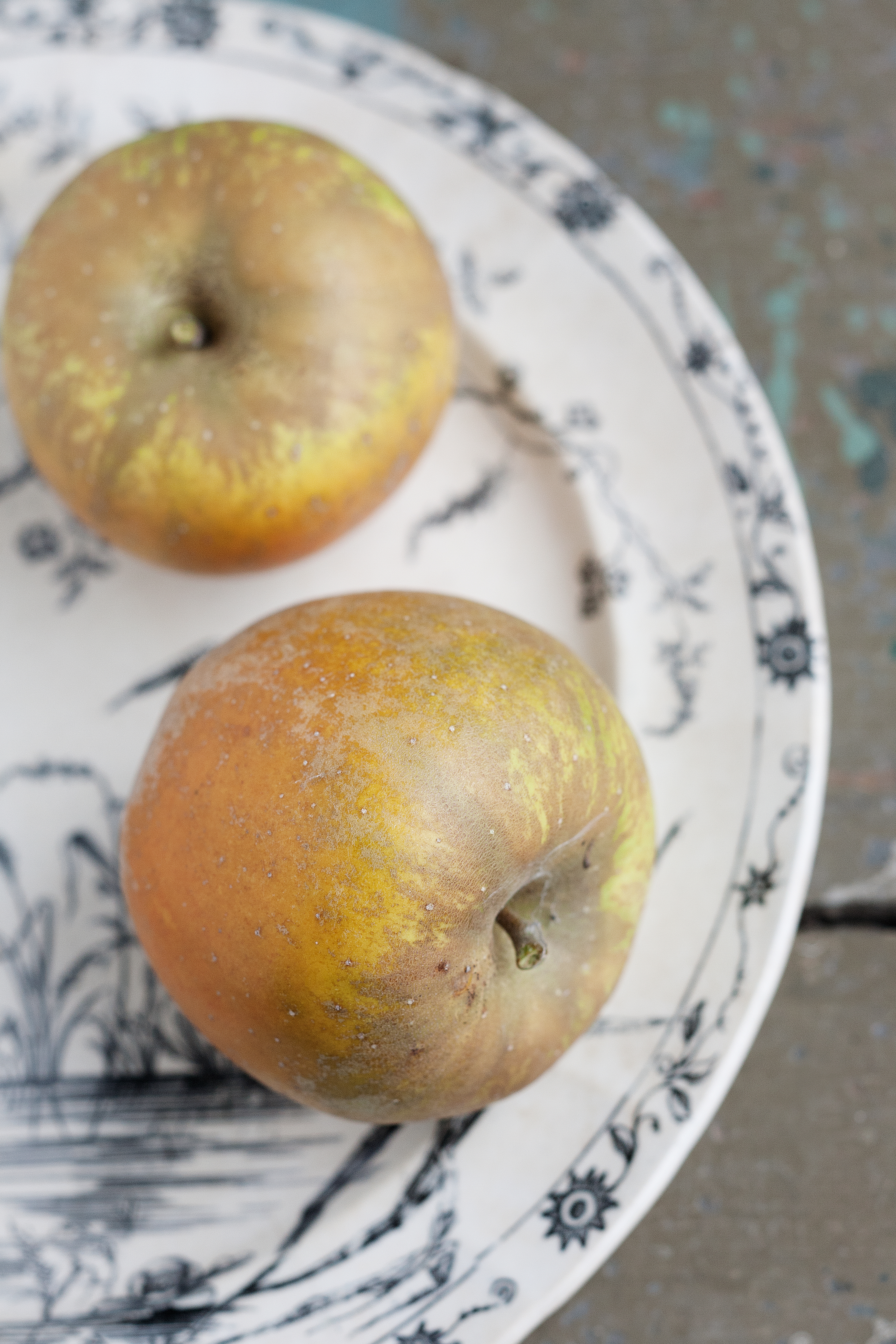 Roxbury Russet.