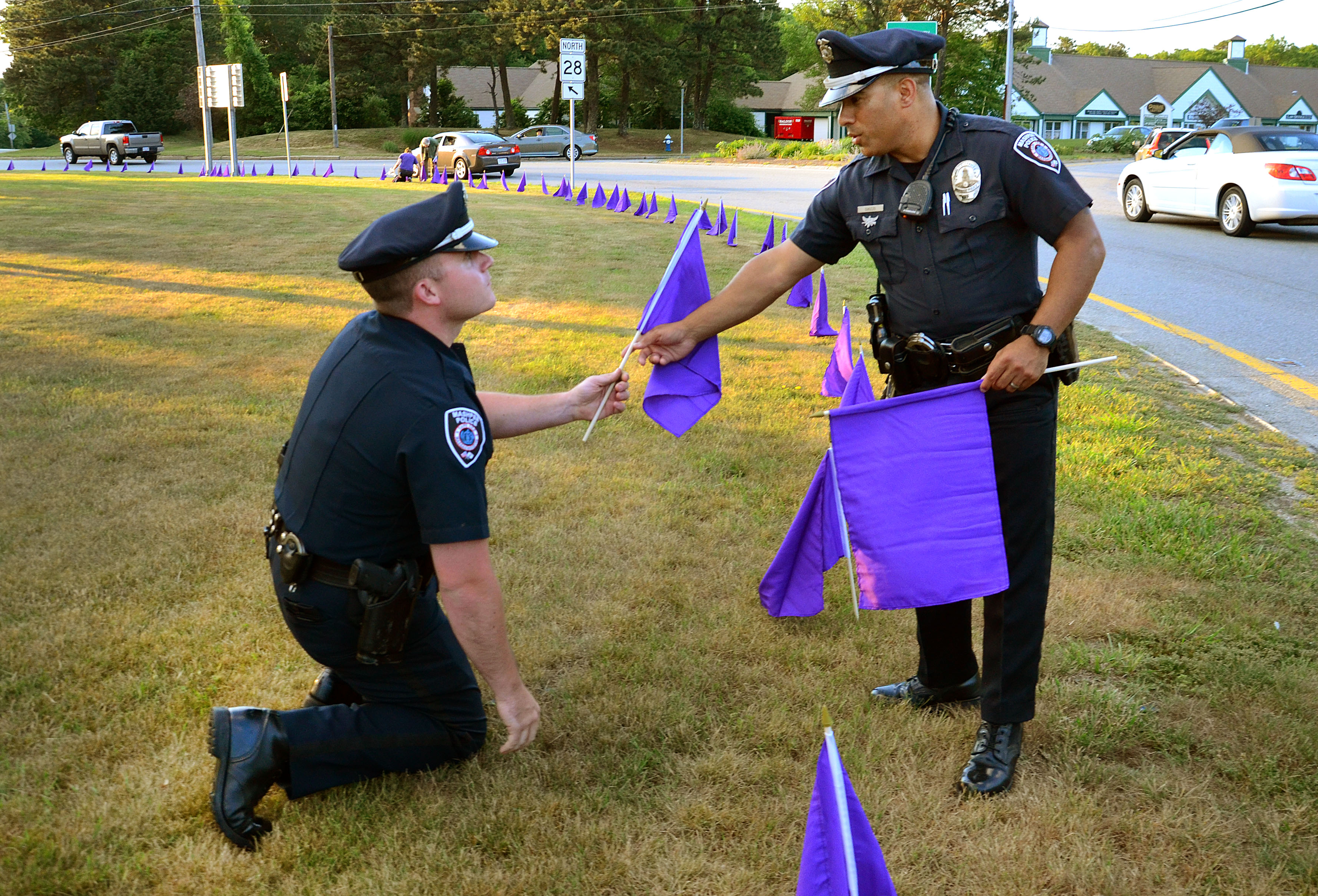 Police officers Joseph Catanese and Will Cuozzo helped place some of the three hundred and thirty three purple flags in the Mashpee rotary to bring attention to the recent spate of opioid overdoses in the state.