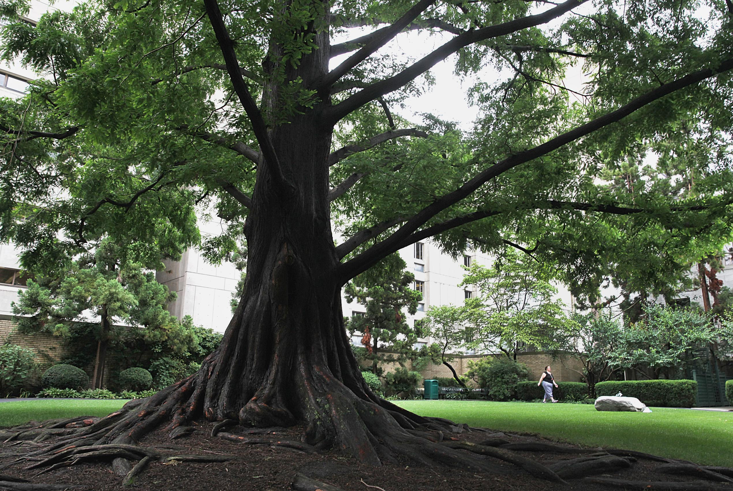 The Prouty Garden is about 23,000 square feet.