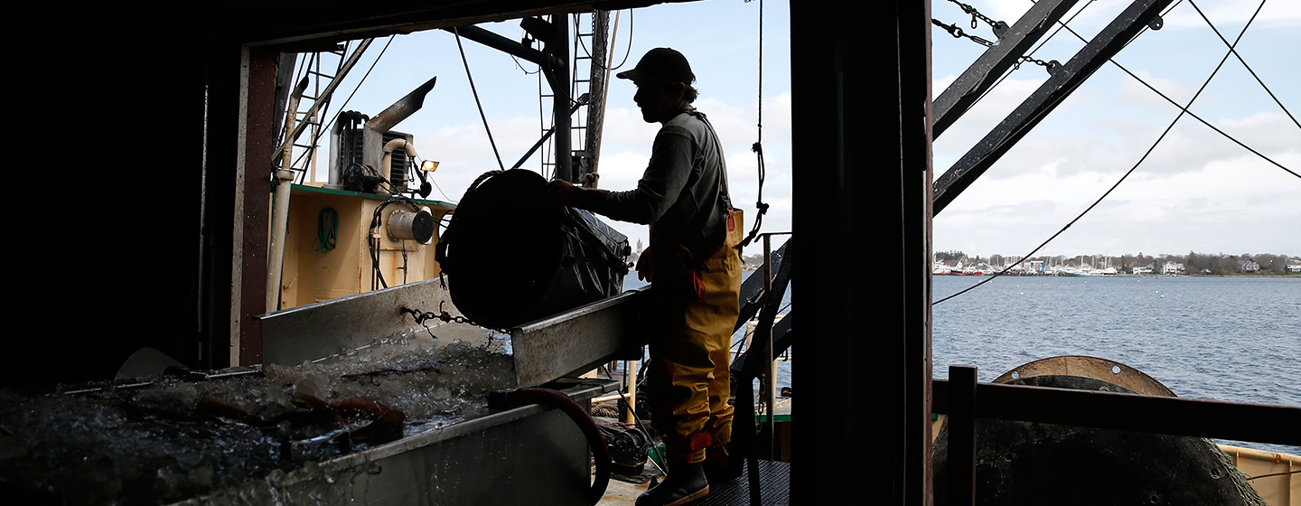 Richard Drost unloads fish in New Bedford.