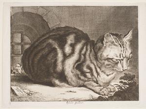Cornelis de Visscher’s “The Cat.”