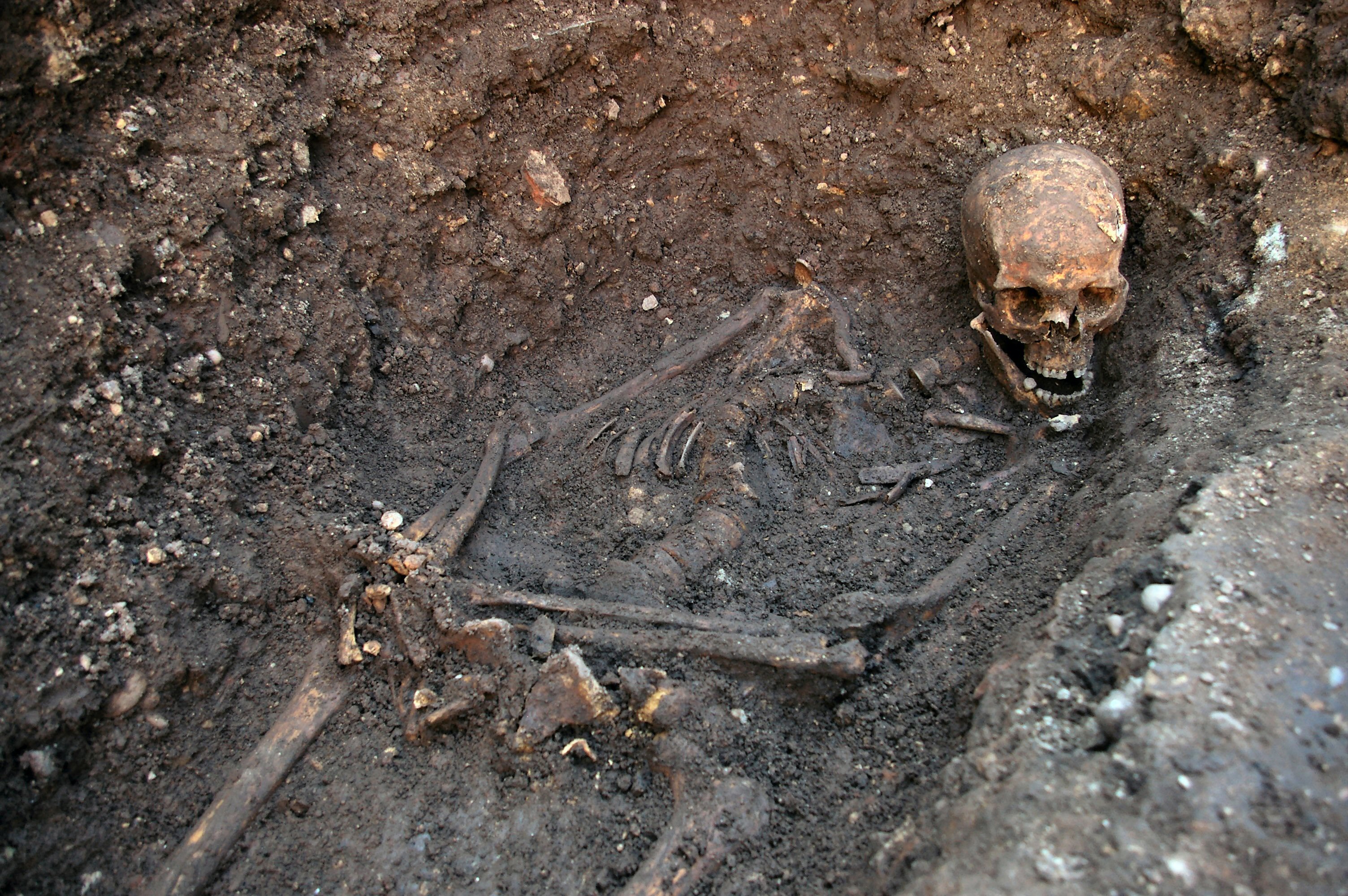 The skeleton of Richard III was found in a trench at the Grey Friars excavation site in Leicester.