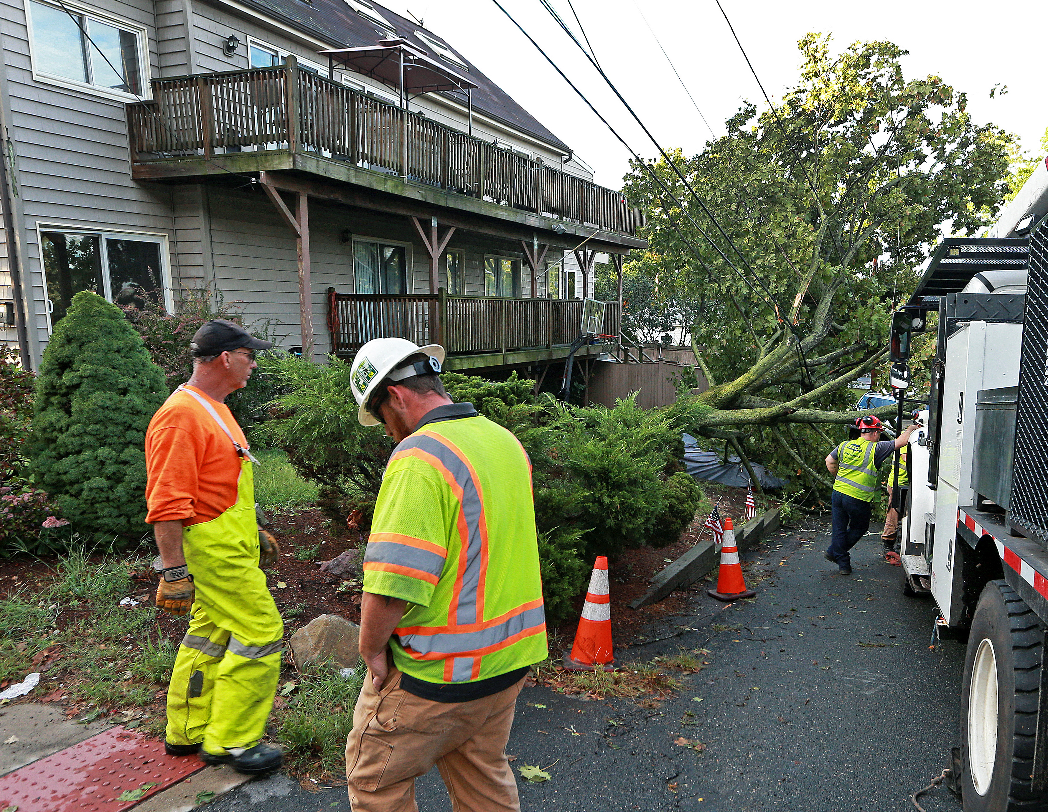 A tree fell on power lines on the corner of Winter Street and Riverside Park.