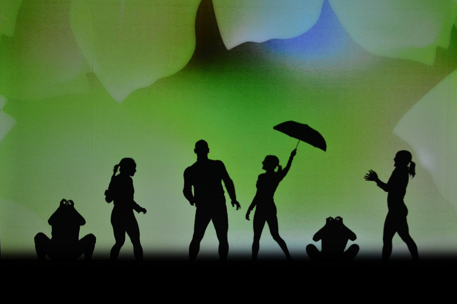 Catapult shadow dancers to perform in Norwell.