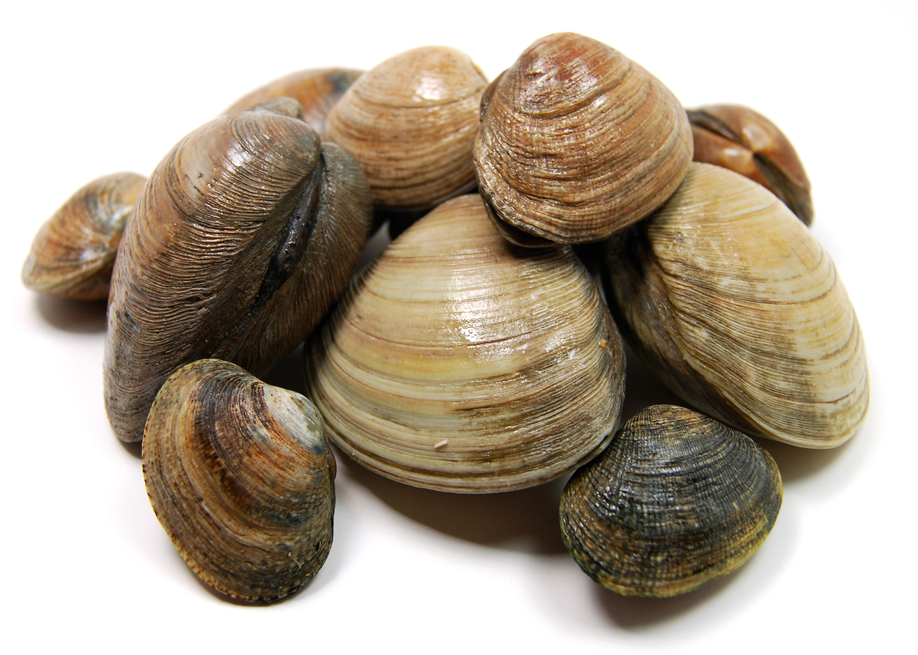 Grilled clams made simple - The Boston Globe
