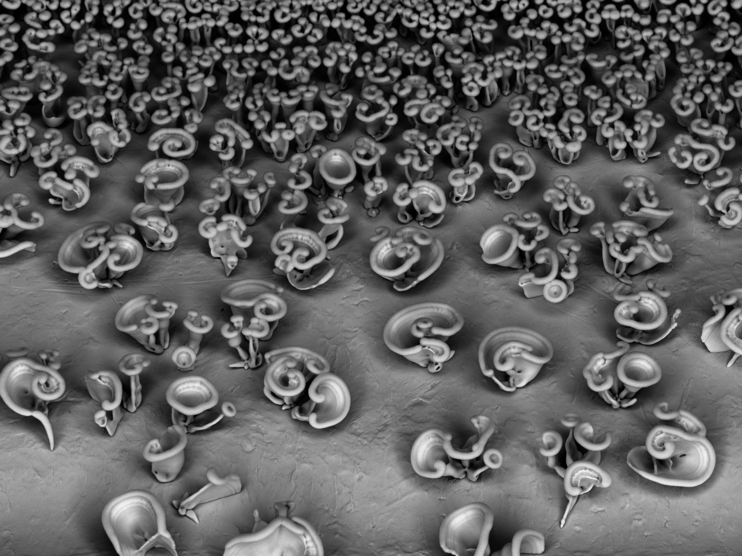 Scientists toiling in this microscopic realm are putting their new techniques to aesthetically pleasing purposes to show they work, and to capture the public’s imagination.